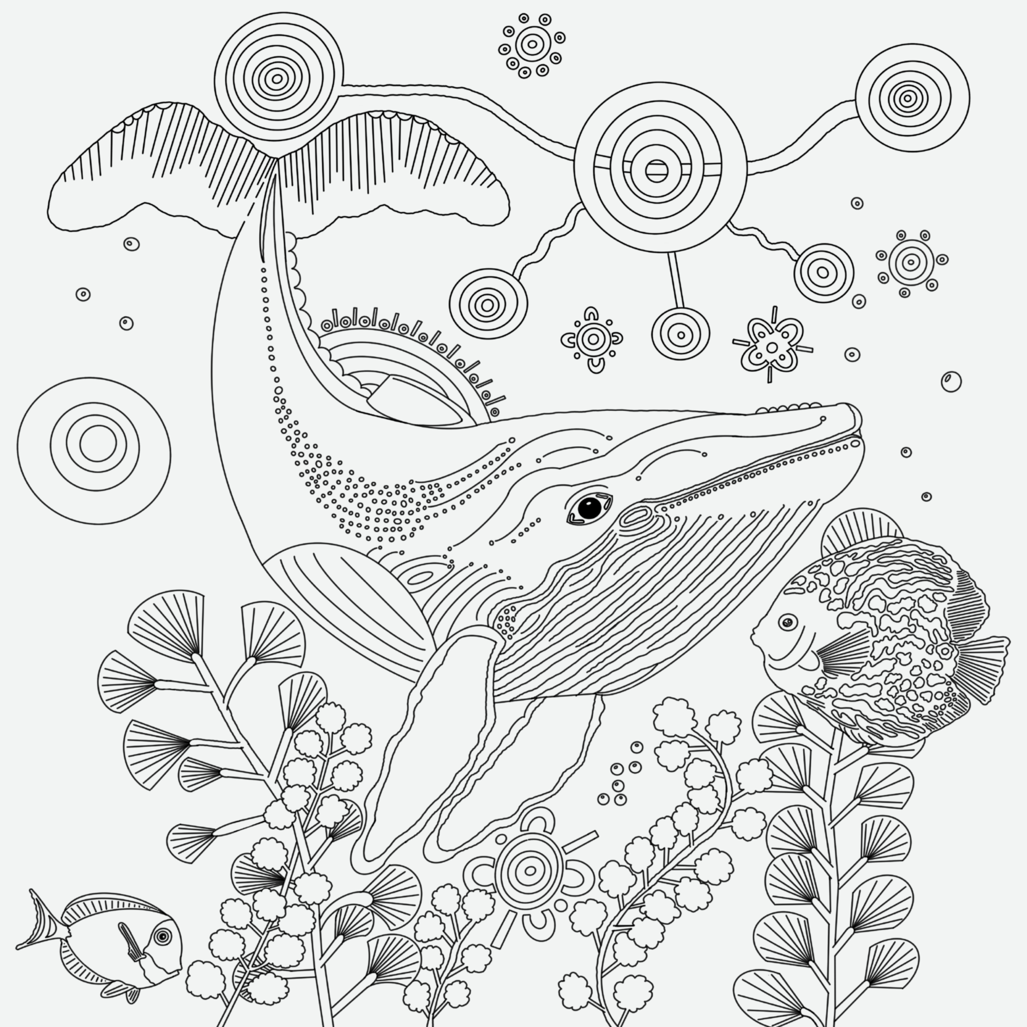 Colouring book 1.zip - 48.png