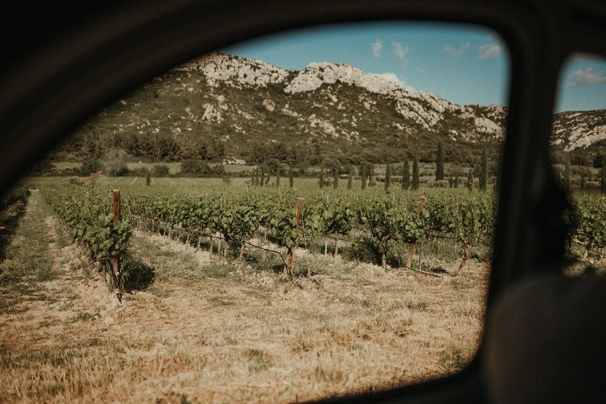 mountain-wedding-Alpes-de-Haute-Provence743-1208.jpeg