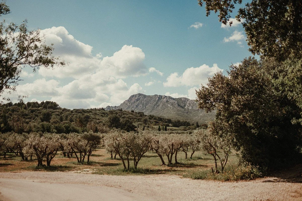mountain-wedding-Alpes-de-Haute-Provence691-1136.jpeg