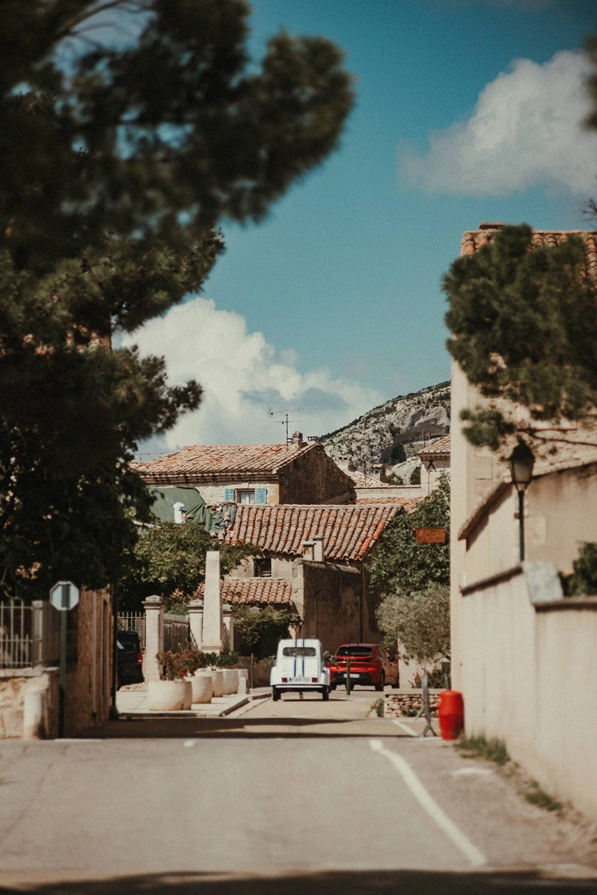 mountain-wedding-Alpes-de-Haute-Provence657-8003.jpeg