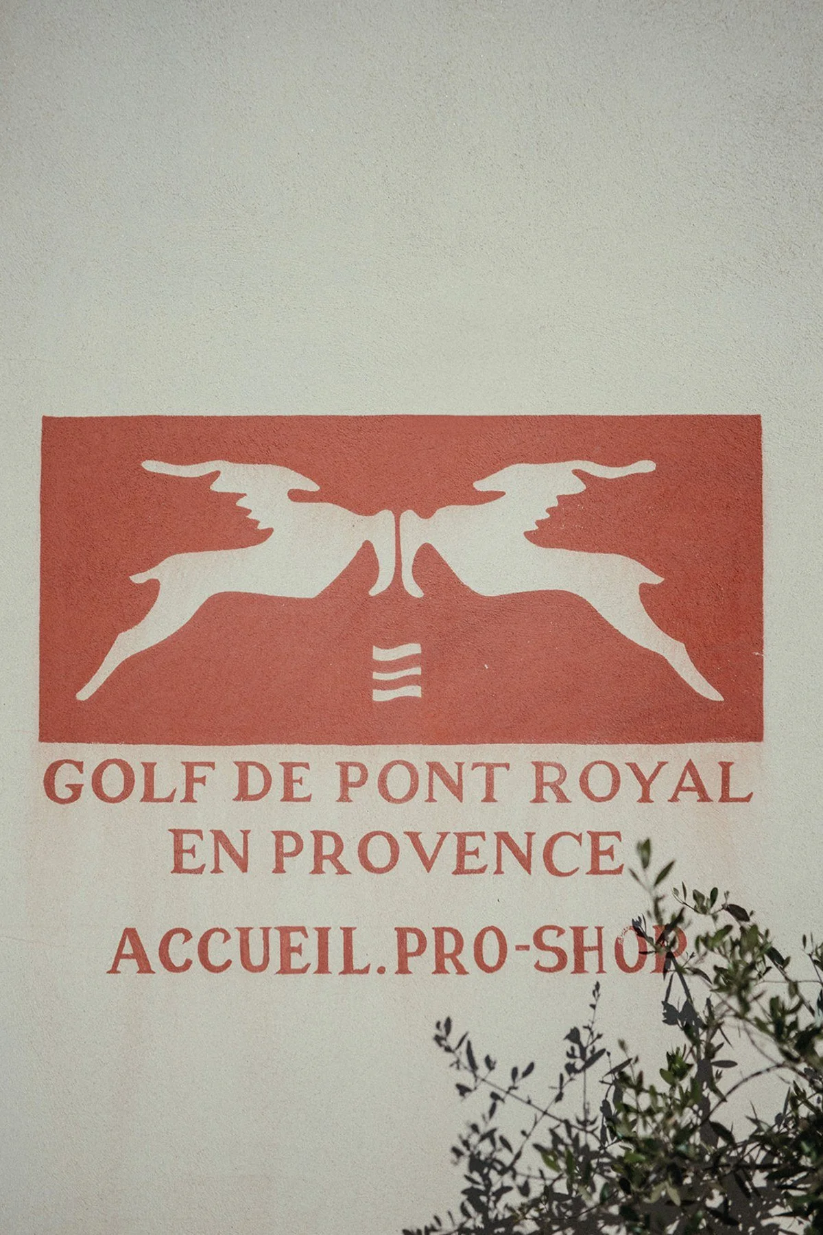 mountain-wedding-Alpes-de-Haute-Provence11-9533.jpeg