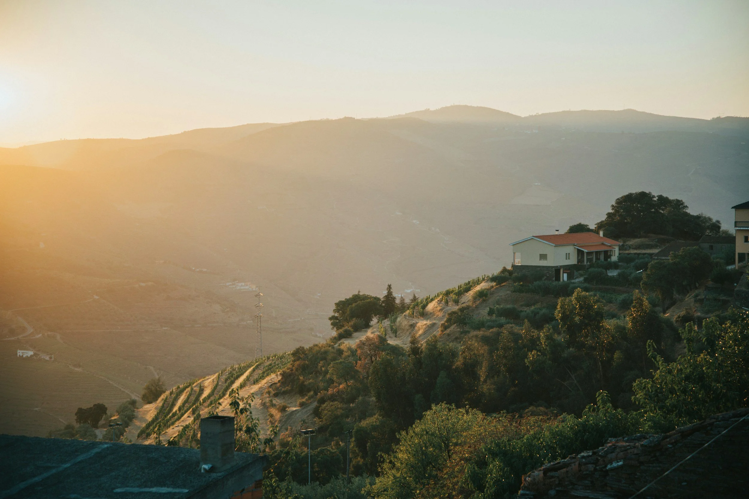 unsplash-image-_TMUJdgp12I.jpg