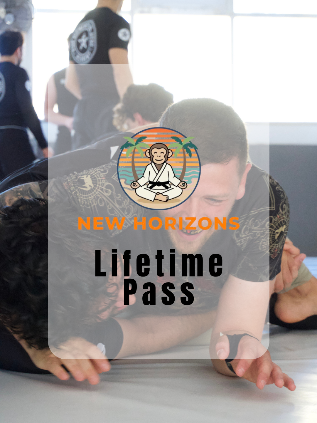 Lifetime Pass.png