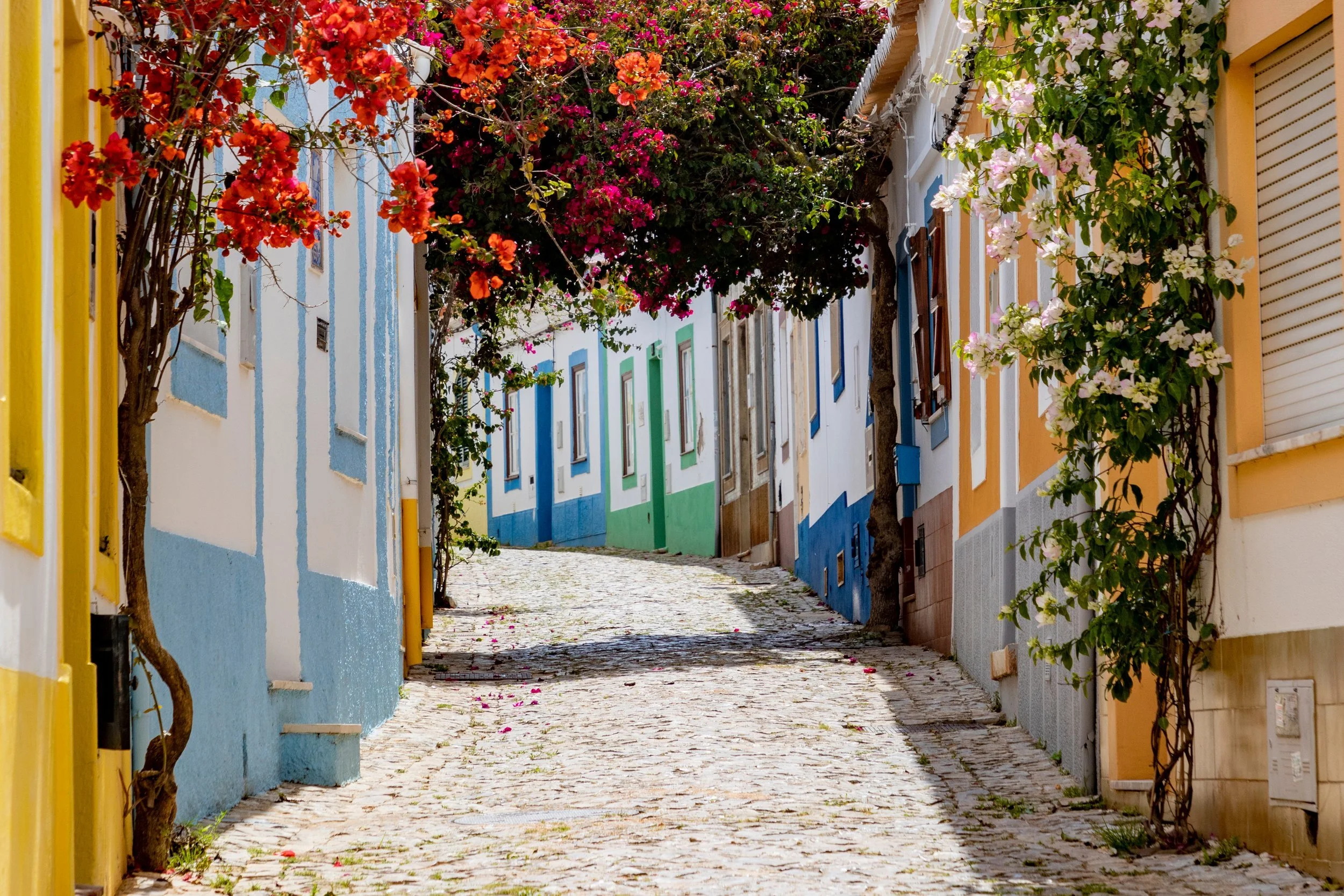 Flowers and colourful houses in Faro