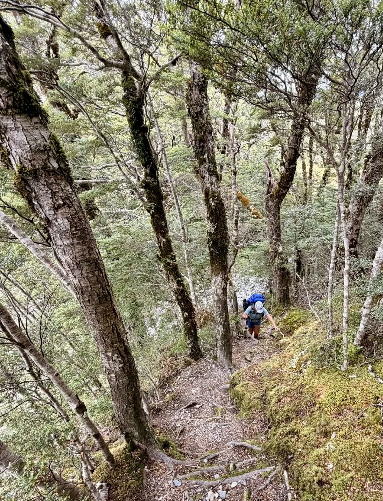 Ultralight Quilt NZ Tramping.jpg