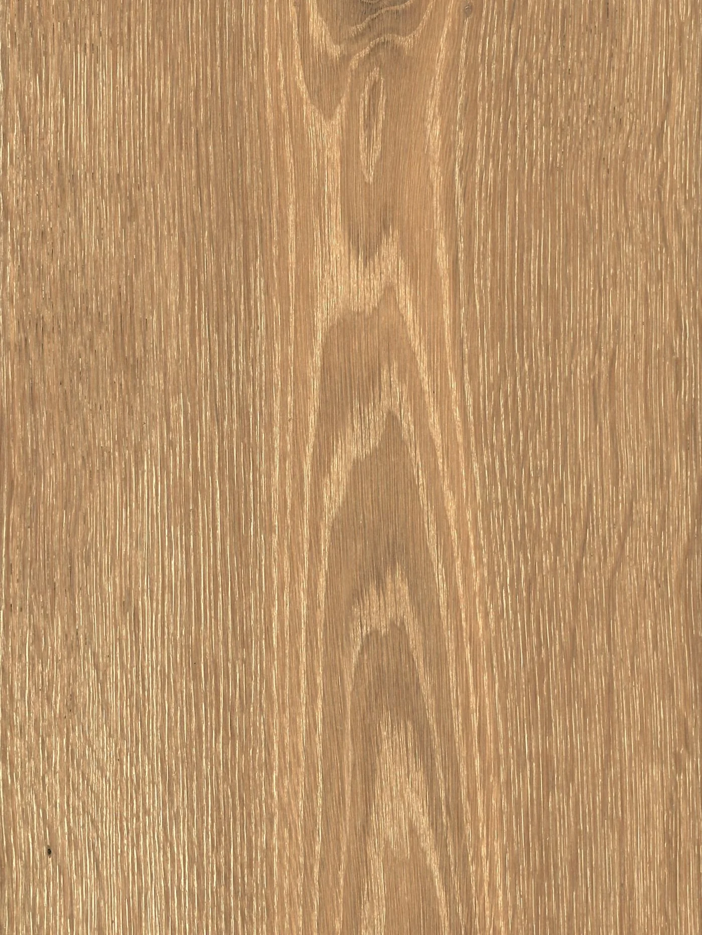 Elstow 'Featheffect'