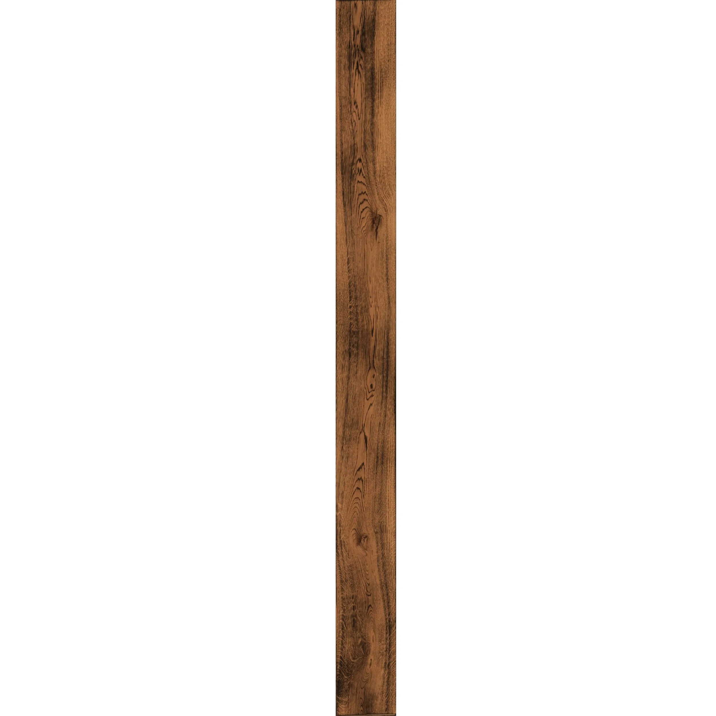 Nagano plank other.jpg