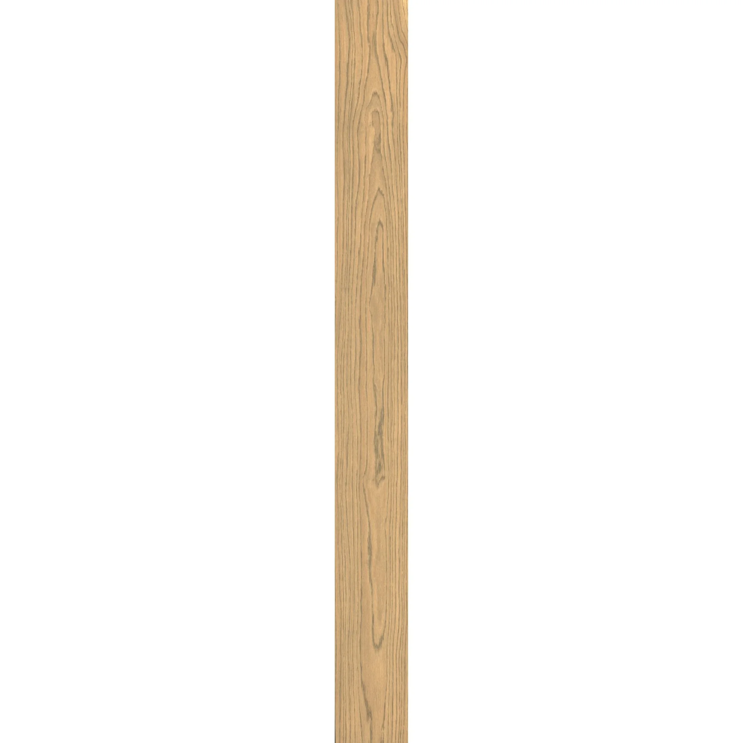 Harrington plank.jpg