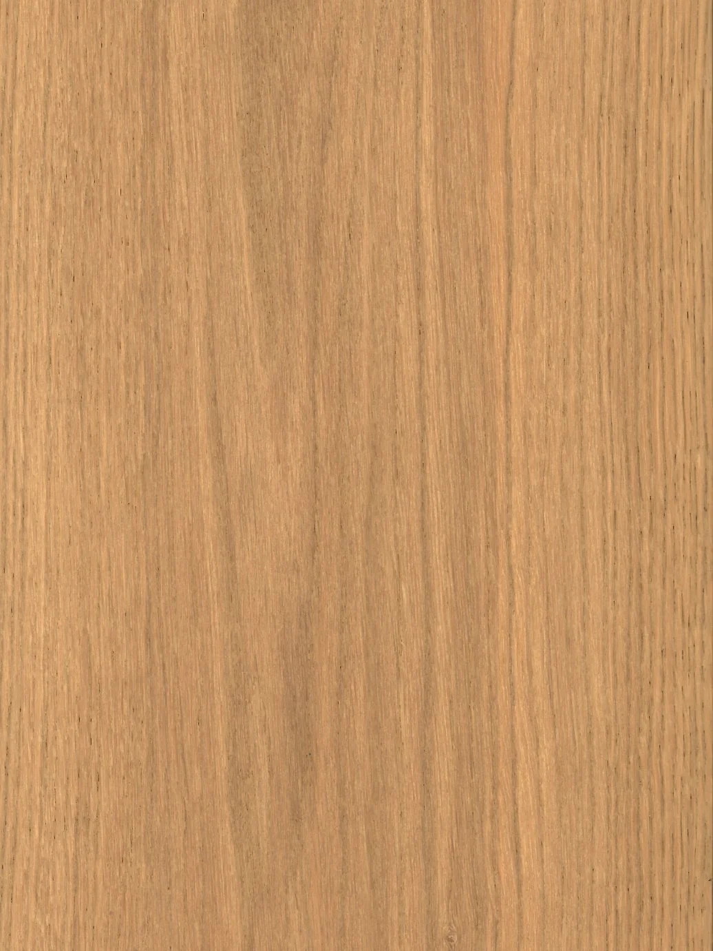 109 Riva Palace thumbnail.jpg