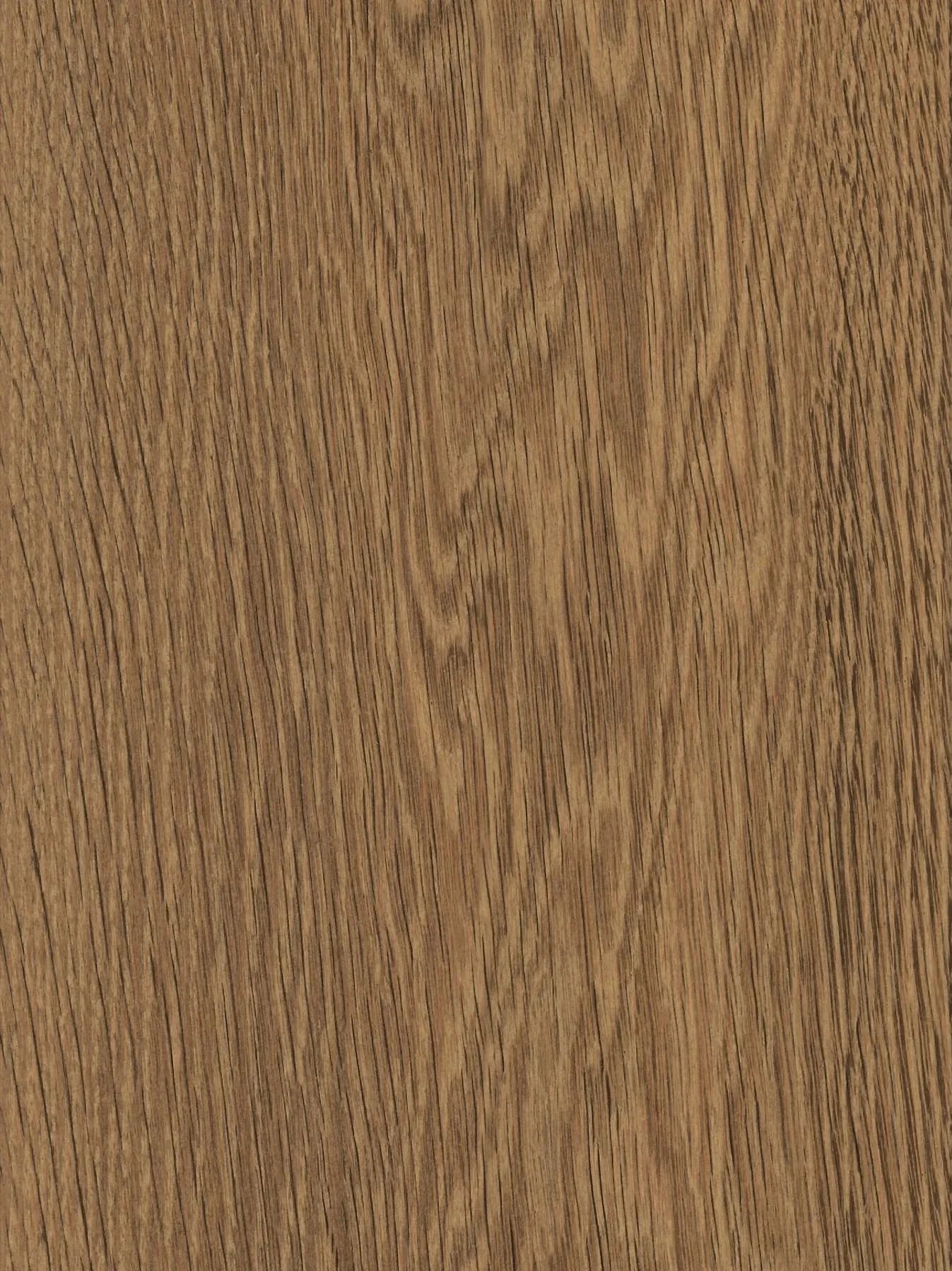 Cranbourne 'Featheffect'