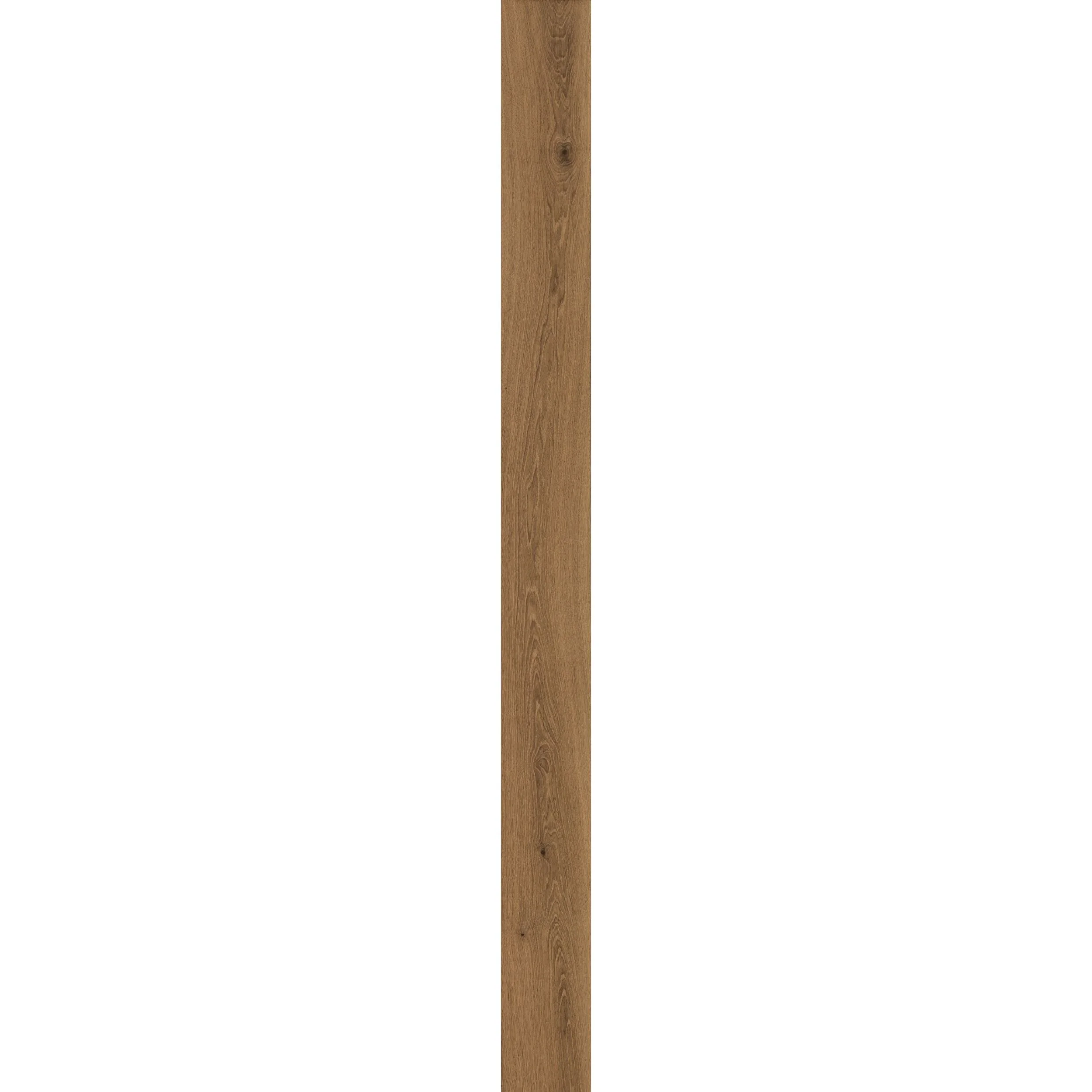 Bracken plank.jpg