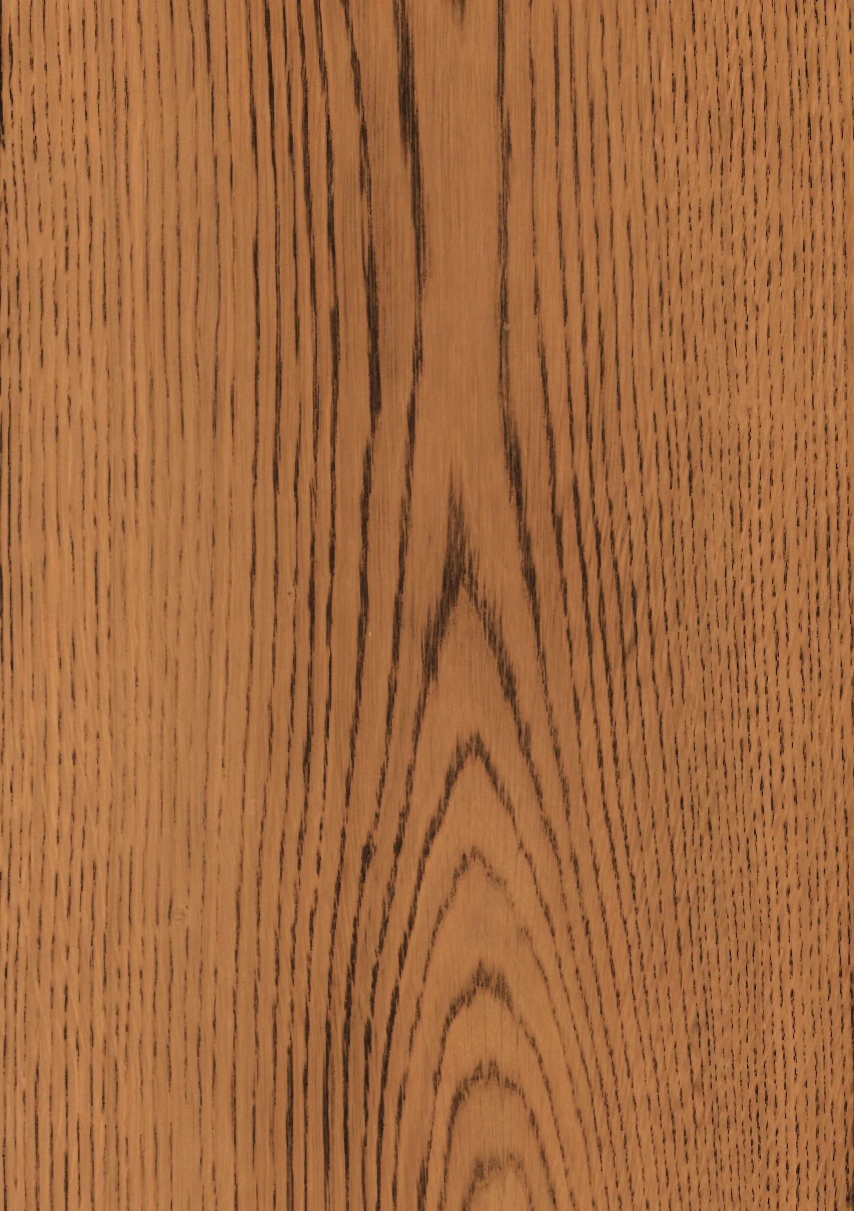 Osaka 'Shou Sugi Ban'