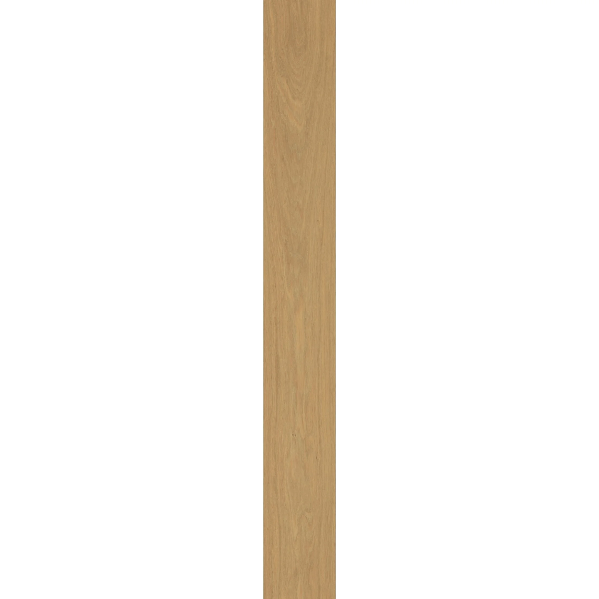 137 Riva Cottesmore plank.jpg