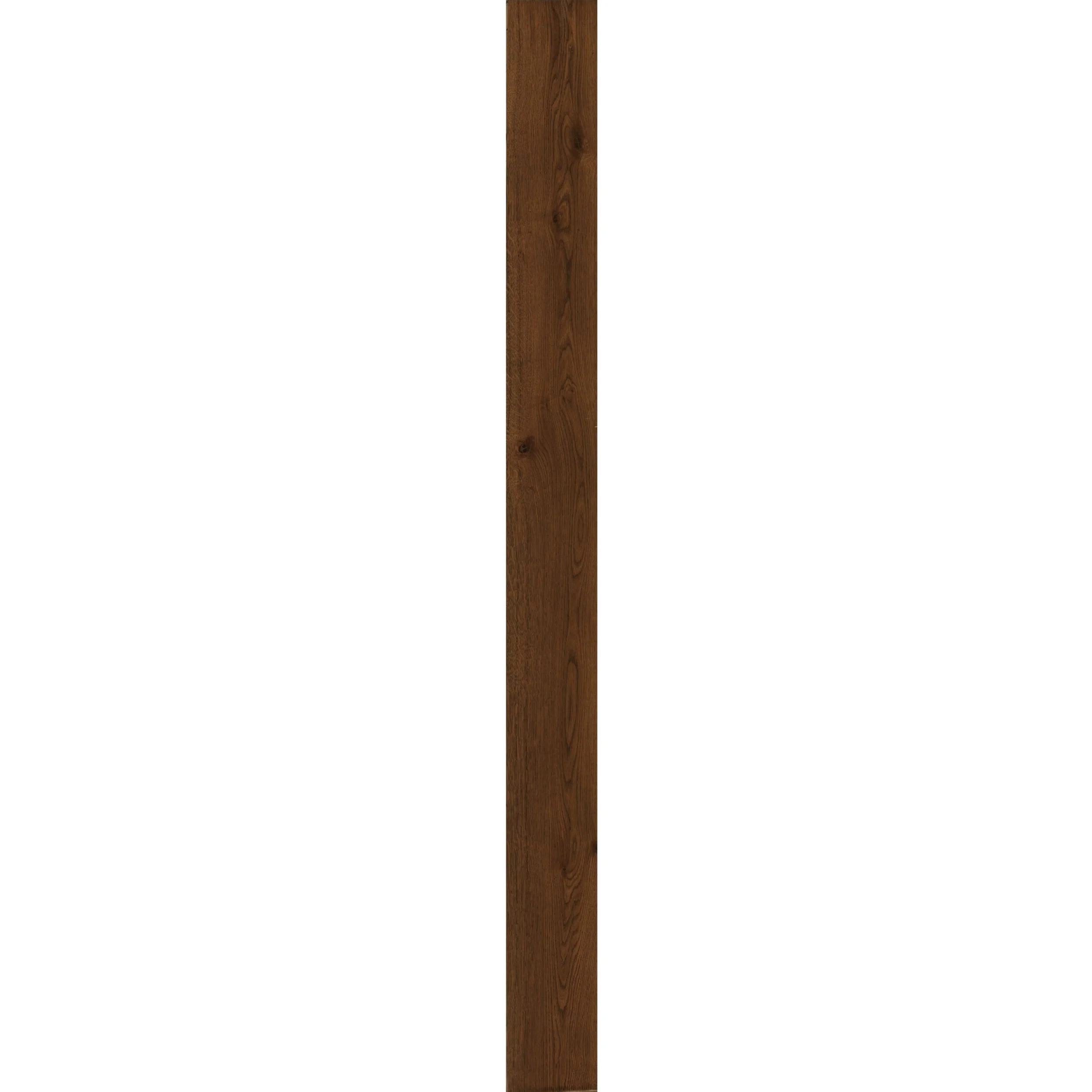 Daytona plank.jpg
