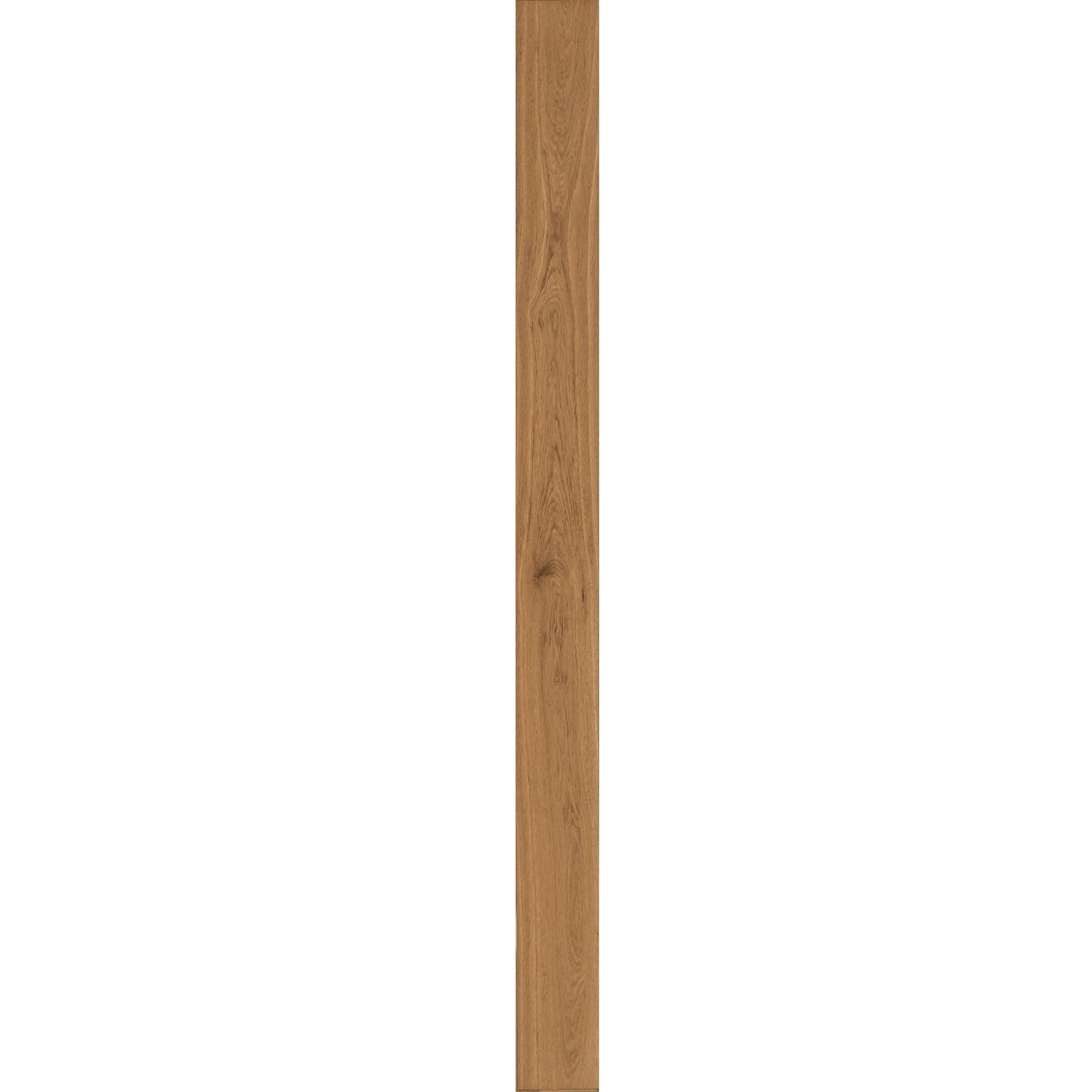 Temple plank.jpg