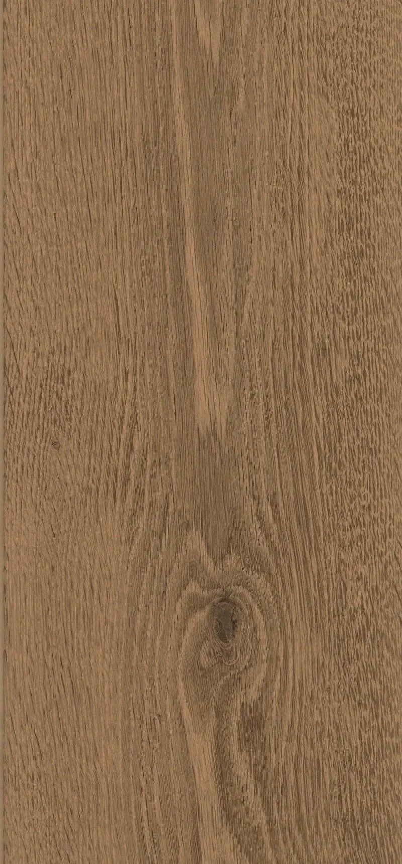 Finchale 'Featheffect'