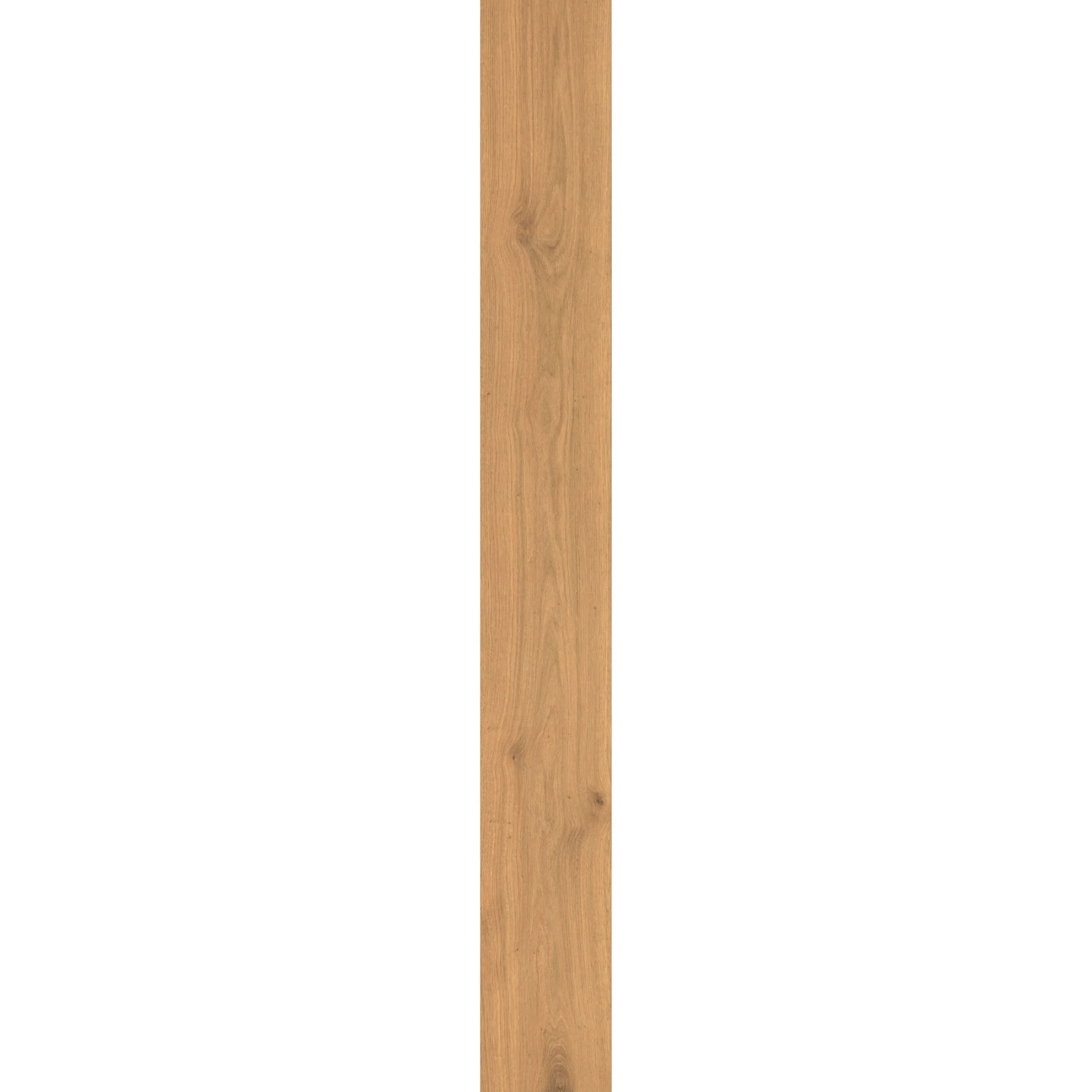109 plank.jpg