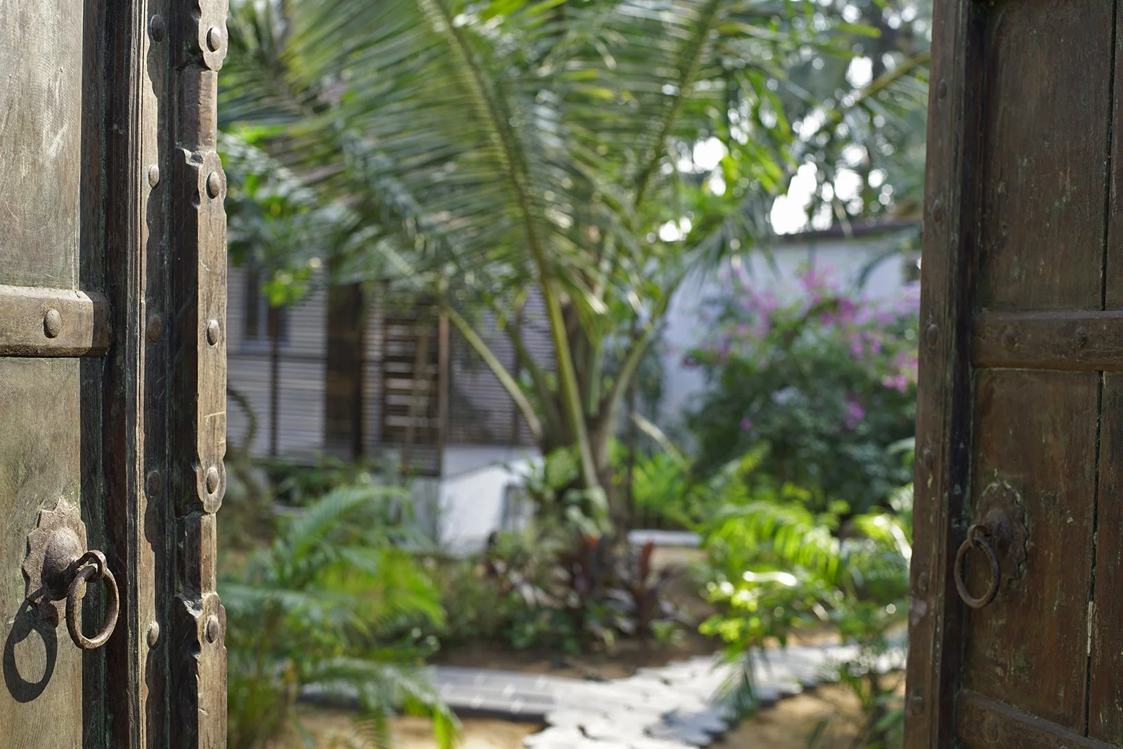Open wooden gate looking into a lush garden with green plants, trees, and a stone pathway.