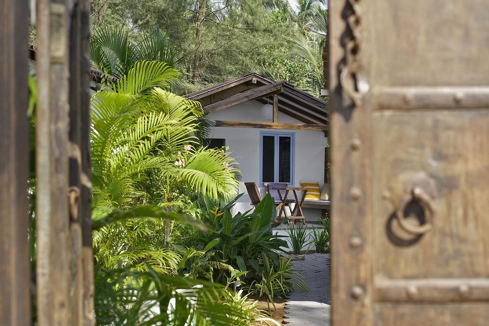 View of a small house surrounded by lush green tropical plants, seen through a partially open wooden gate or door with metal accents.