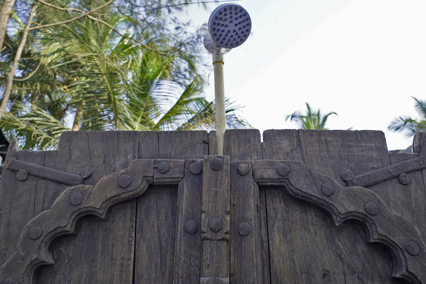 An outdoor shower head mounted on a white pipe above a rustic wooden fence with tropical trees in the background.