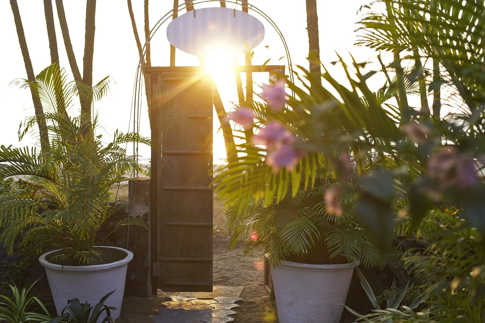 Sunset view through an open wooden gate with potted tropical plants on either side, and sunlight shining through the trees in the background.