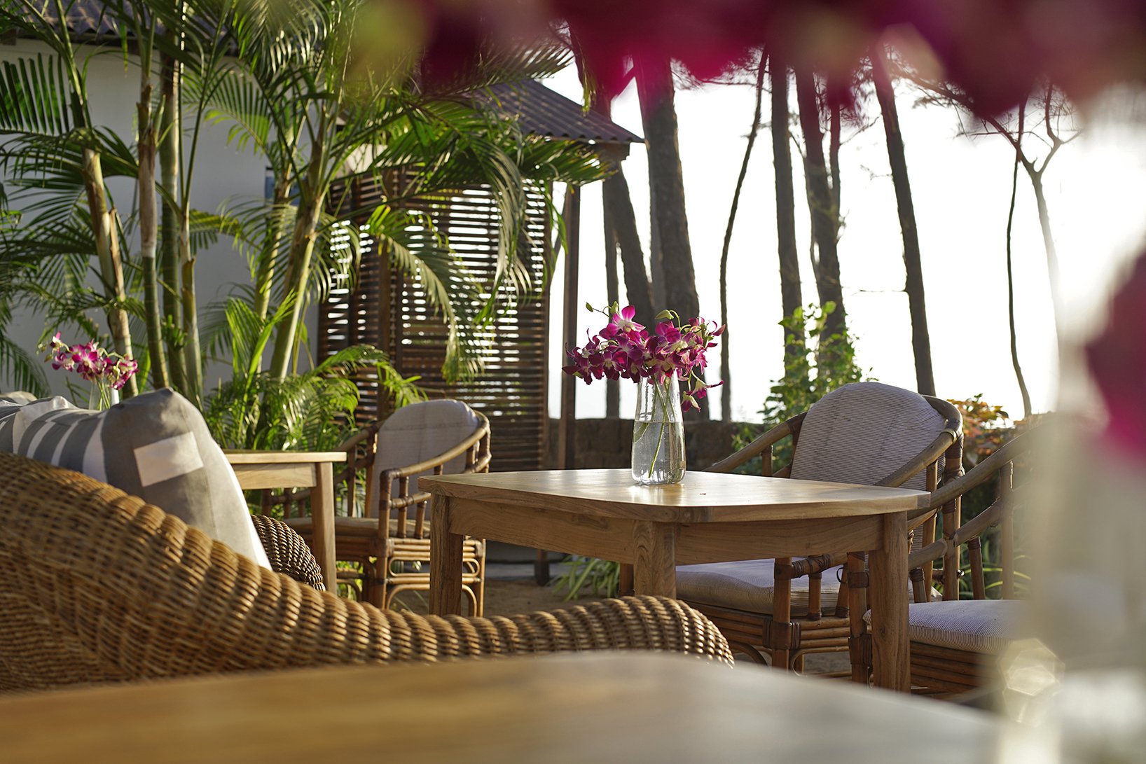 Outdoor patio with rattan furniture, wooden table, and pink flowers in a glass vase, surrounded by lush green plants and trees in bright sunlight.