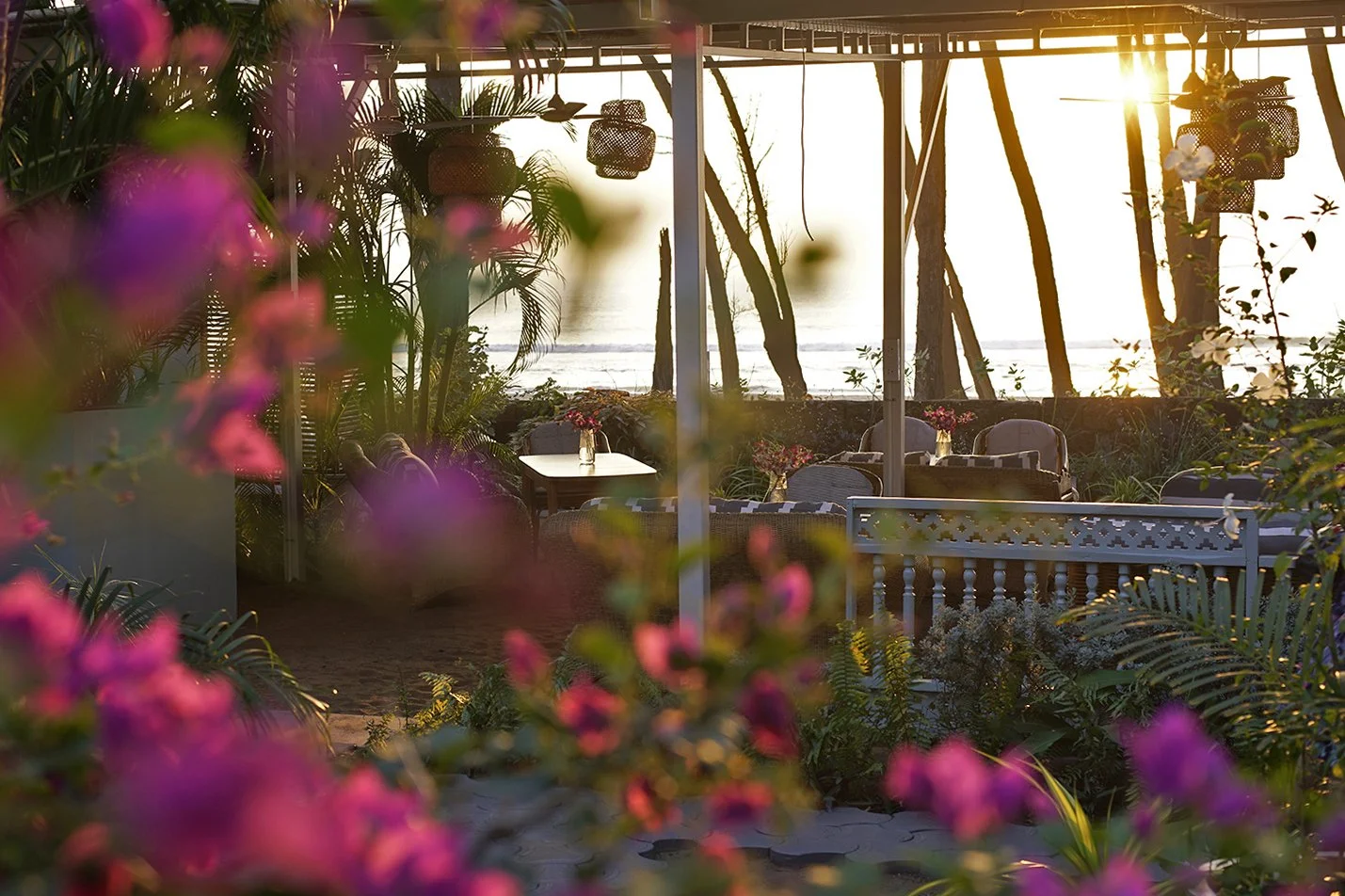 An outdoor seaside patio with tables and chairs, surrounded by plants and flowers, at sunset, overlooking the ocean.