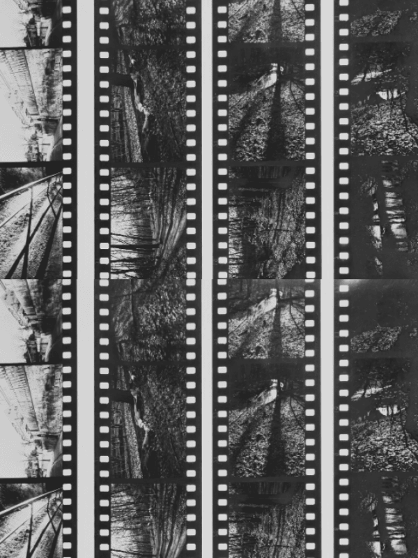 Black and White Film Develop & Traditional Contact Sheet Service