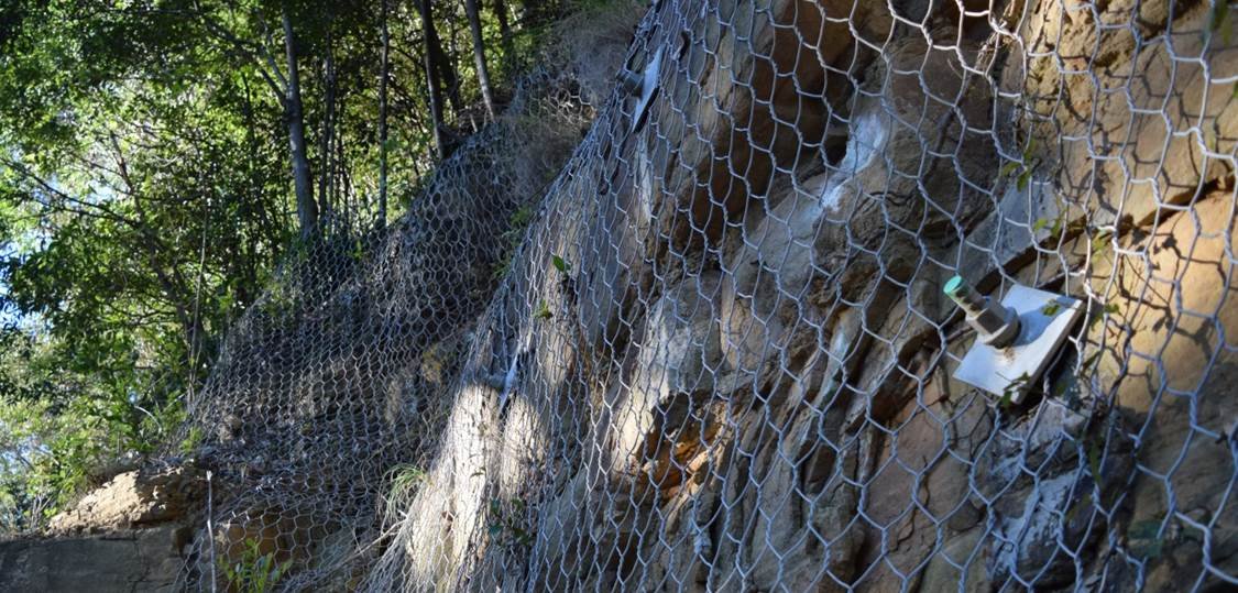 A honey badger behind wire fencing on a rocky hillside with green trees in the background.