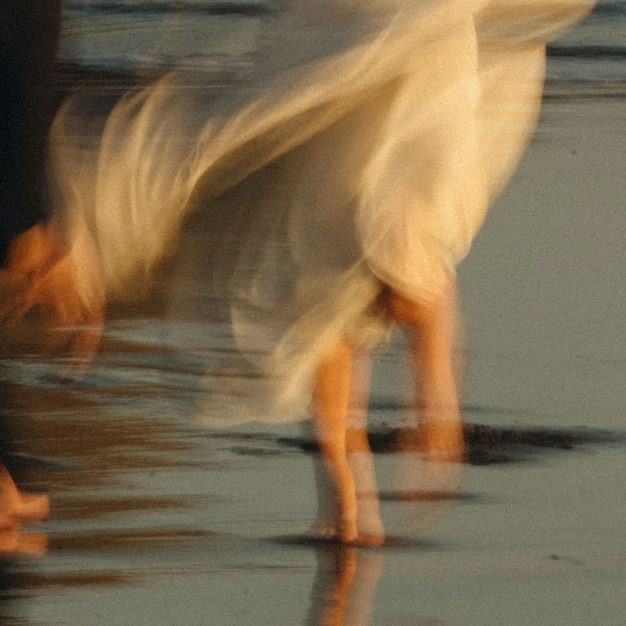 Why Everyone Wants a More Whimsical Life