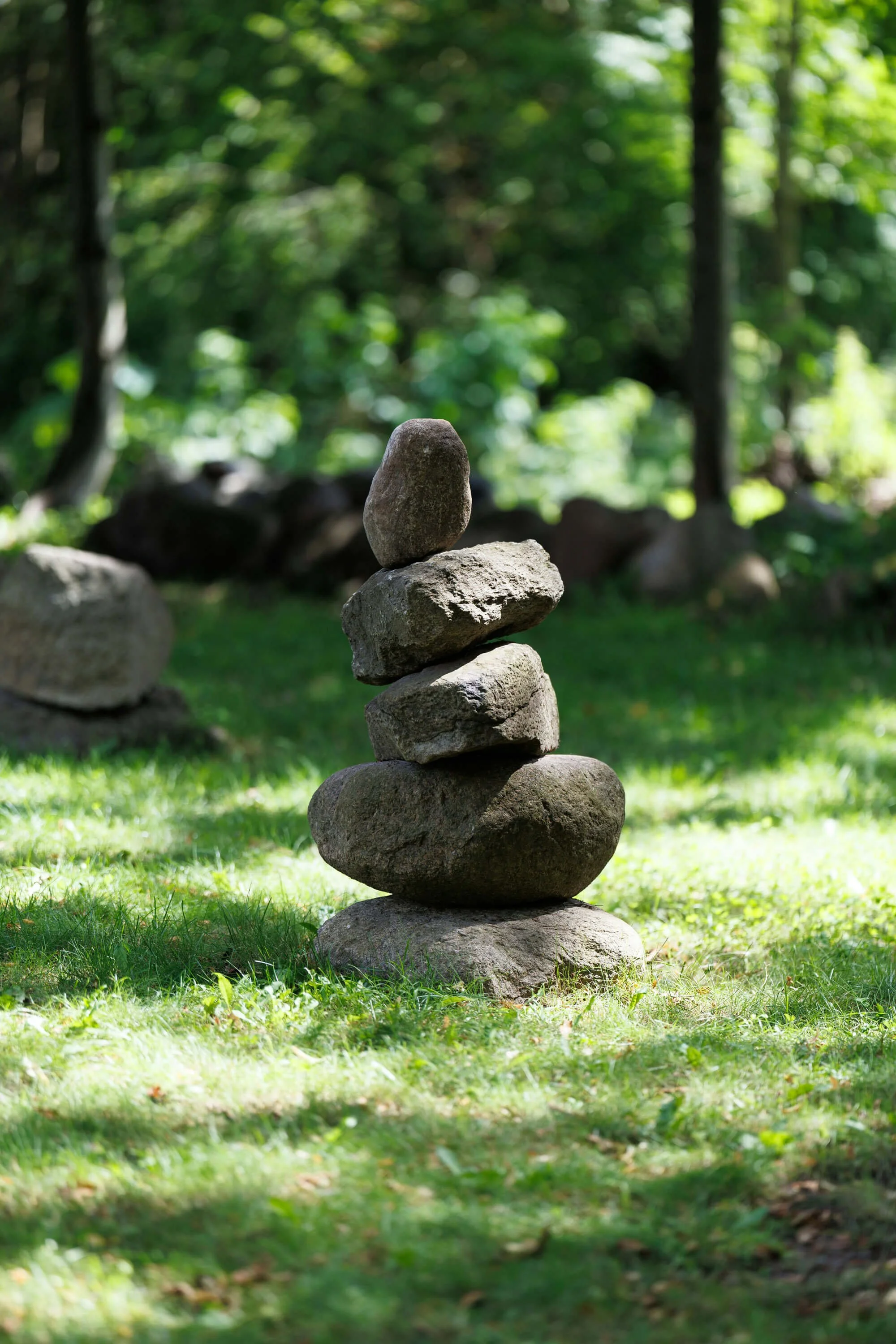 A vertical stack of seven rocks balanced on top of each other on a grassy area in a green forest.