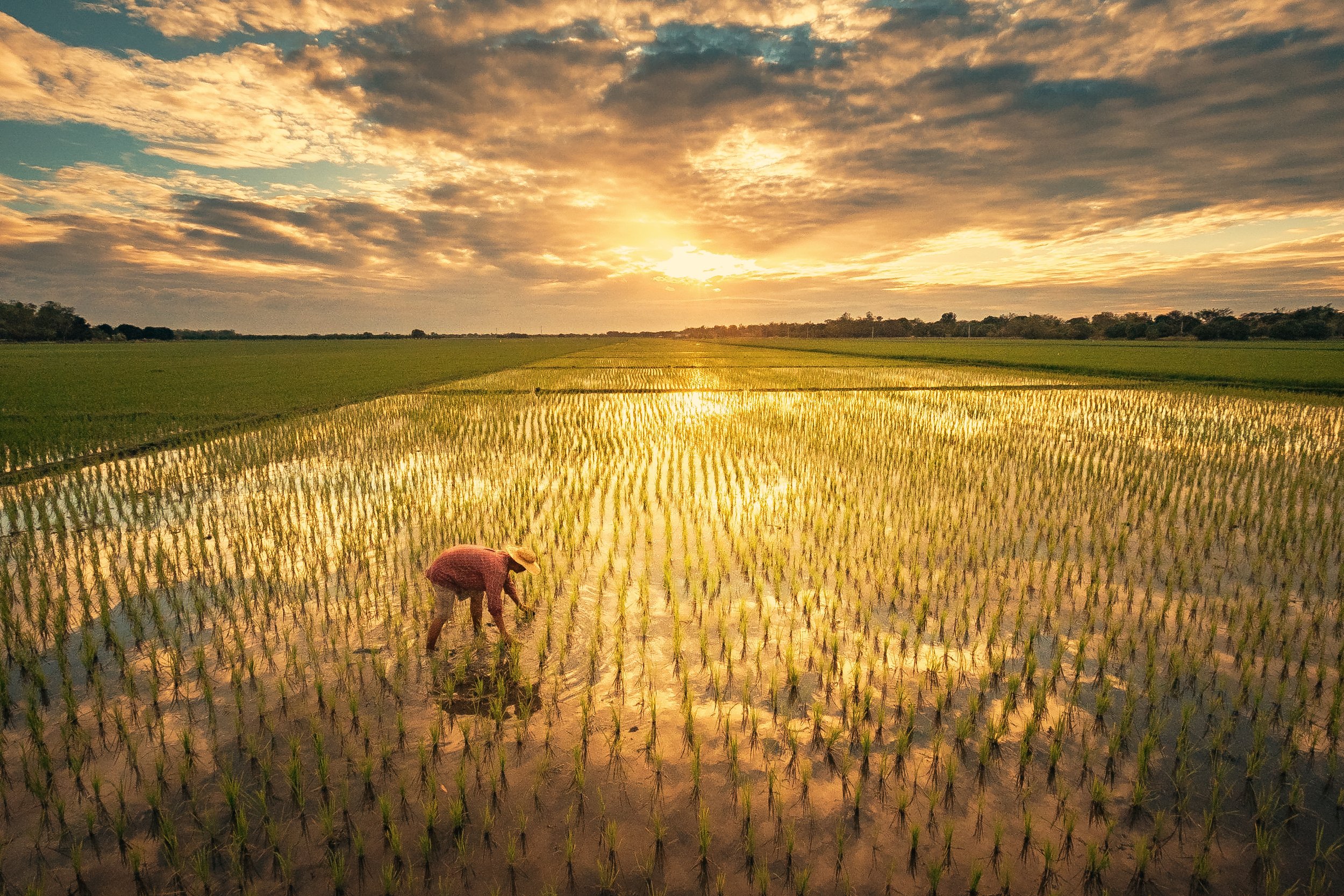 Rhon Velarde_Power of Sunlight.jpg
