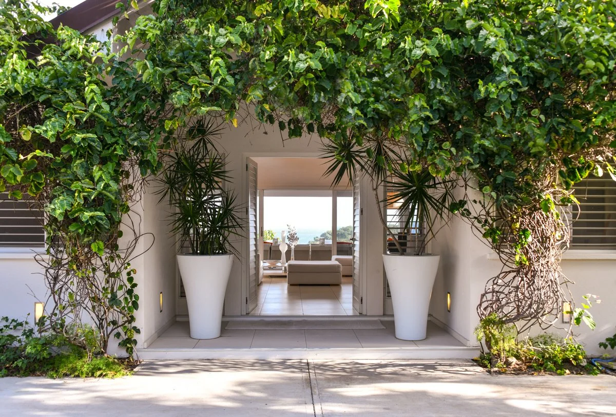 Entrance to a modern home with large potted plants and a leafy archway, leading to a living room with a view of the outdoors.