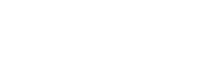 LITEDEV