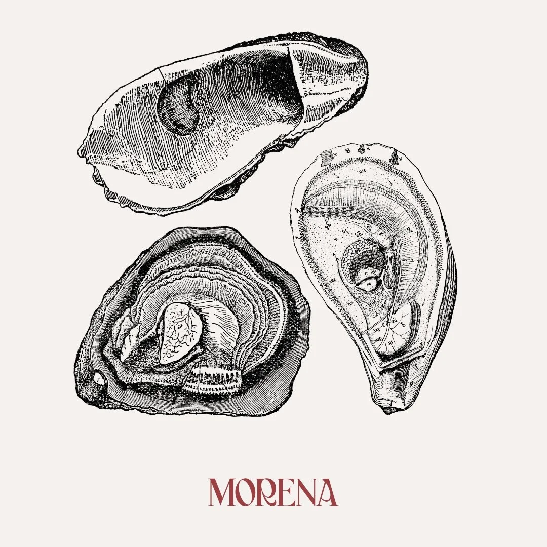 Oysters & Champagne at Morena