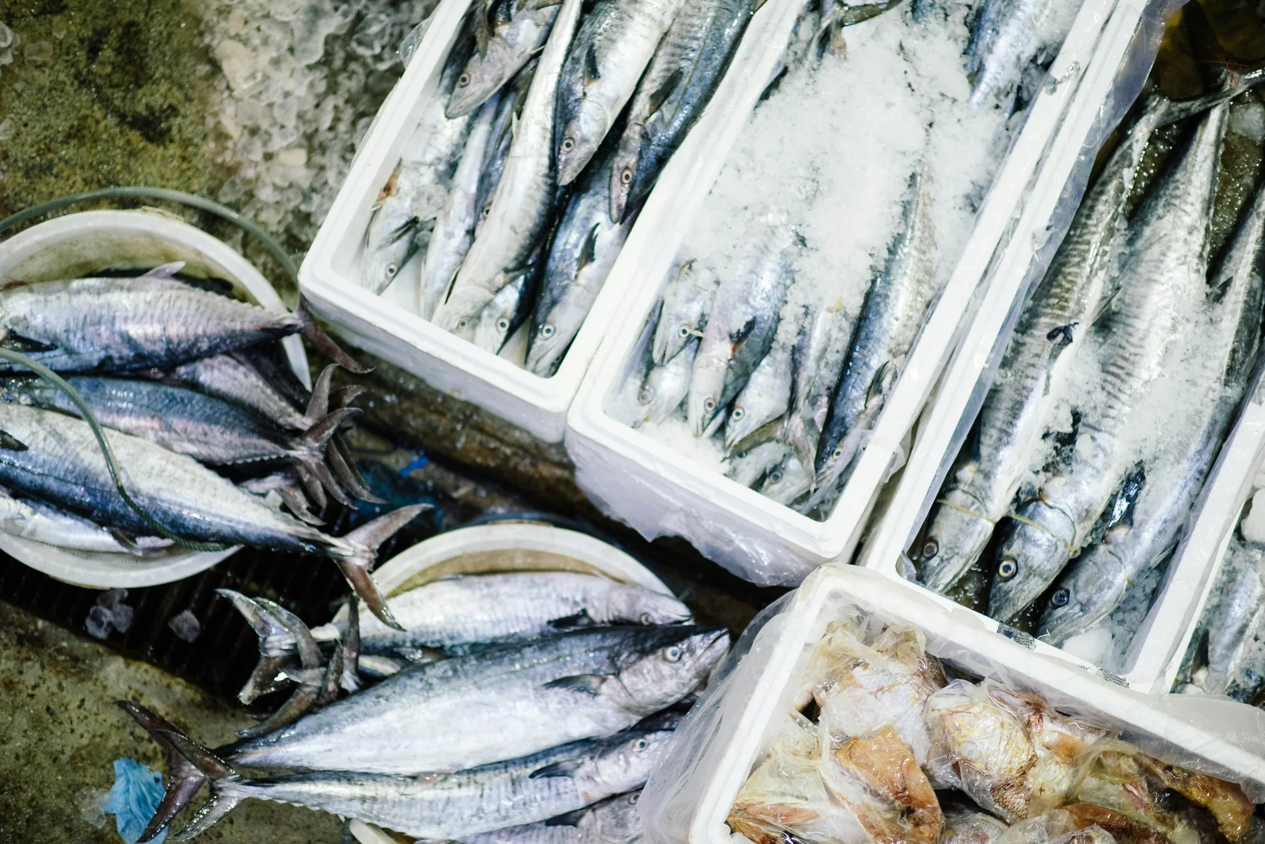 Peru on the road - Chorillos Fish Market.