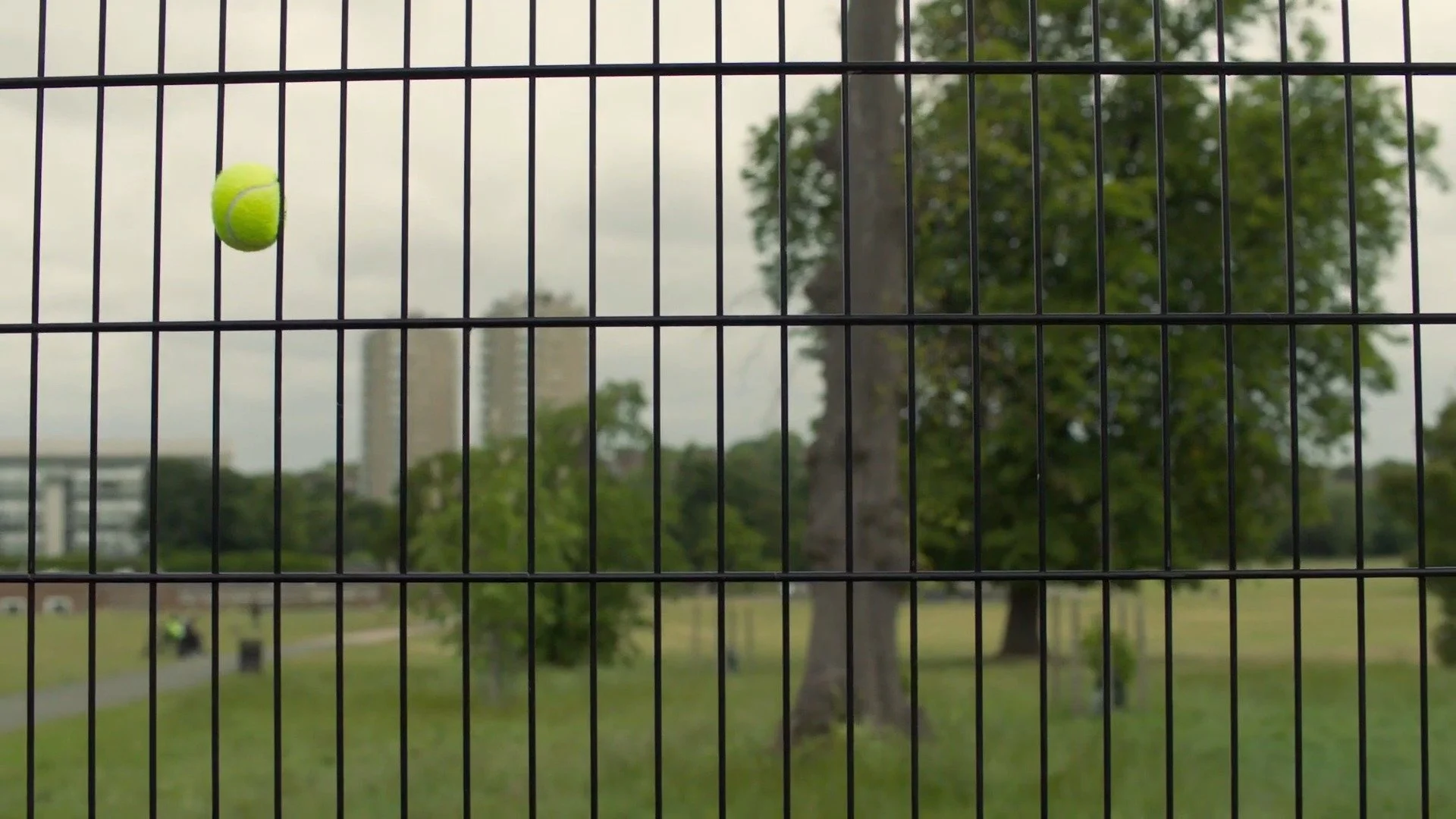 Lawn Tennis Association