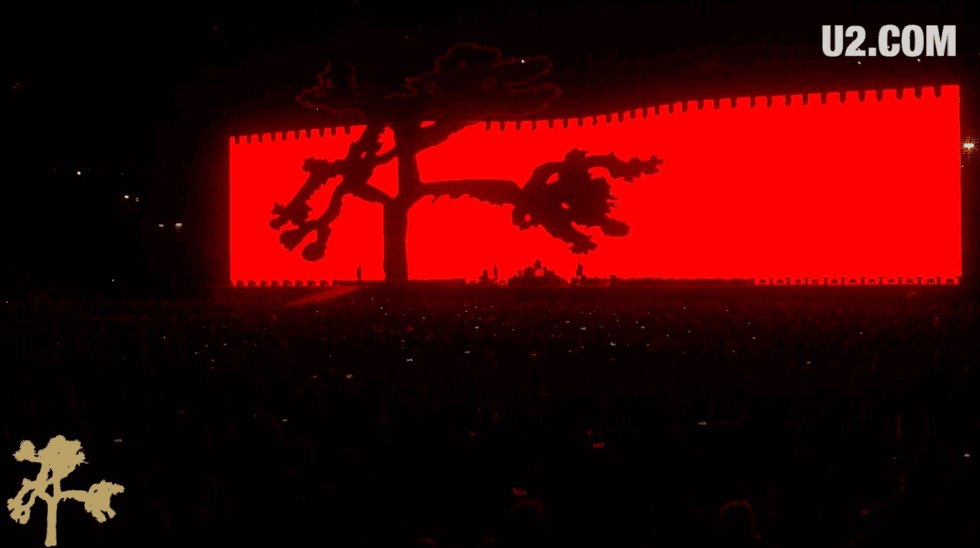 U2 Joshua Tree