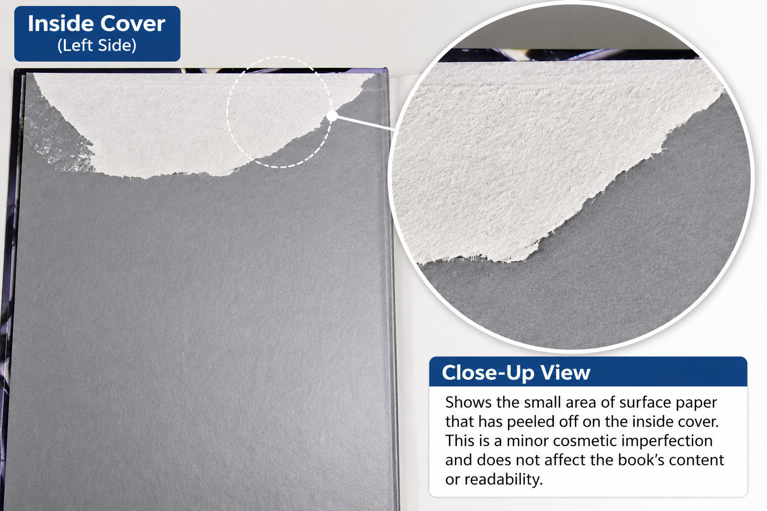 Inside Cover Peeling Close-Up.png
