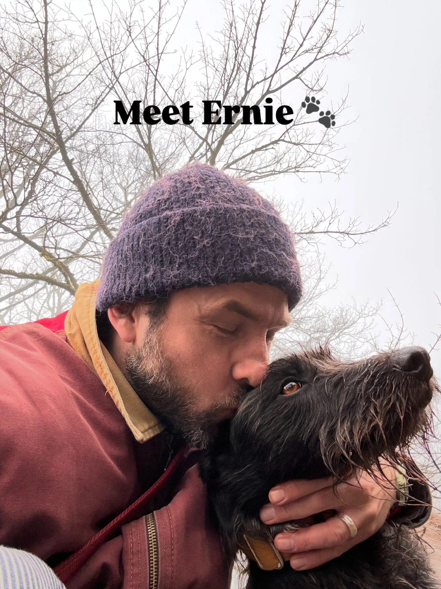 Our hairy son enjoying the peace of the misty hills.

Heading back down to Margate today though (he hates the train 😢). Back out scouting locations next week for PMC and a new brunch concept/menu.