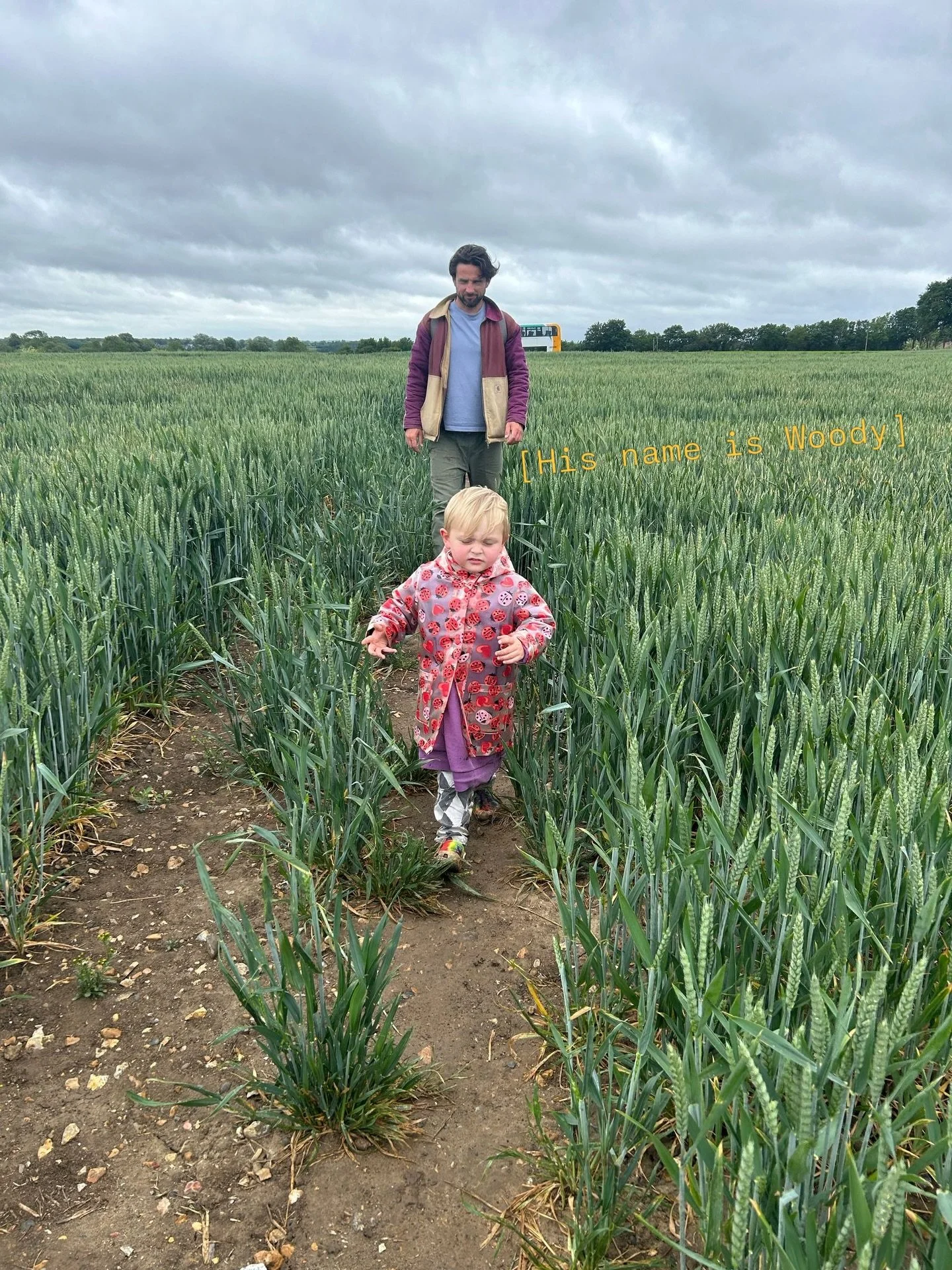 Two guys go looking for a brunch spot in a field.

One says,
&ldquo;Woody, innit?&rdquo;

The other says,
&ldquo;Yeah.&rdquo;

I workshopped this joke with ChatGPT.
This is as good as it got.

Rewrites will be tolerated.
