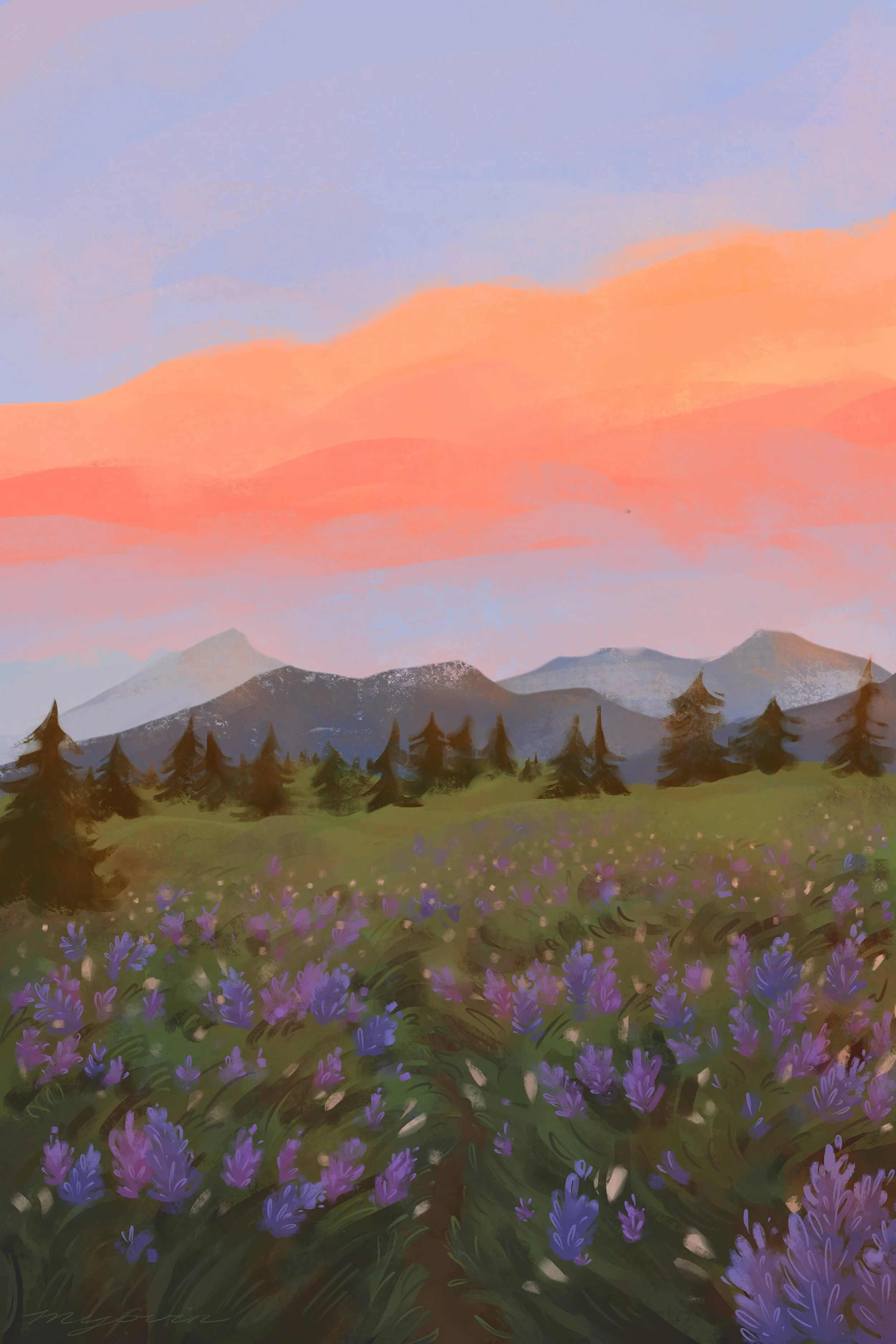 Postcard 'Sunset Landscape'