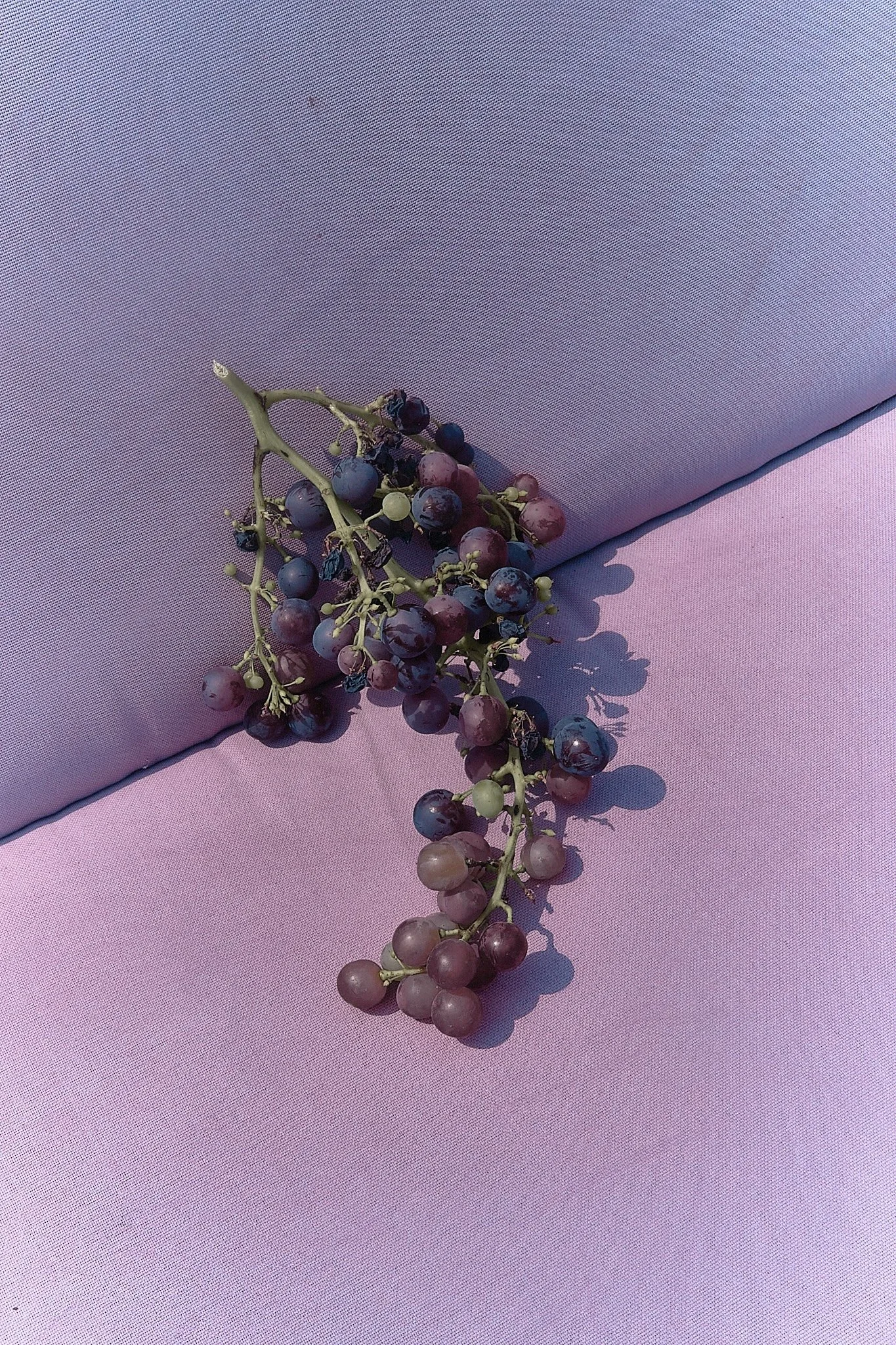 Grapes