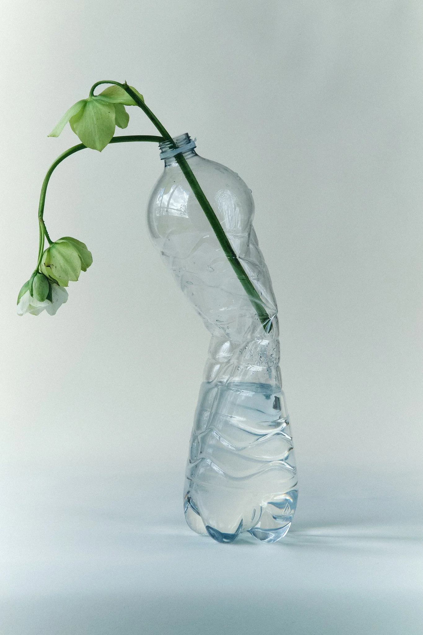 Bottle vase