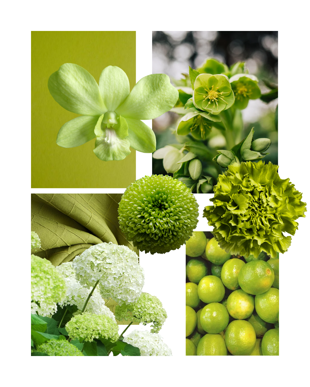 Trending Wedding Flower Colours | 2026