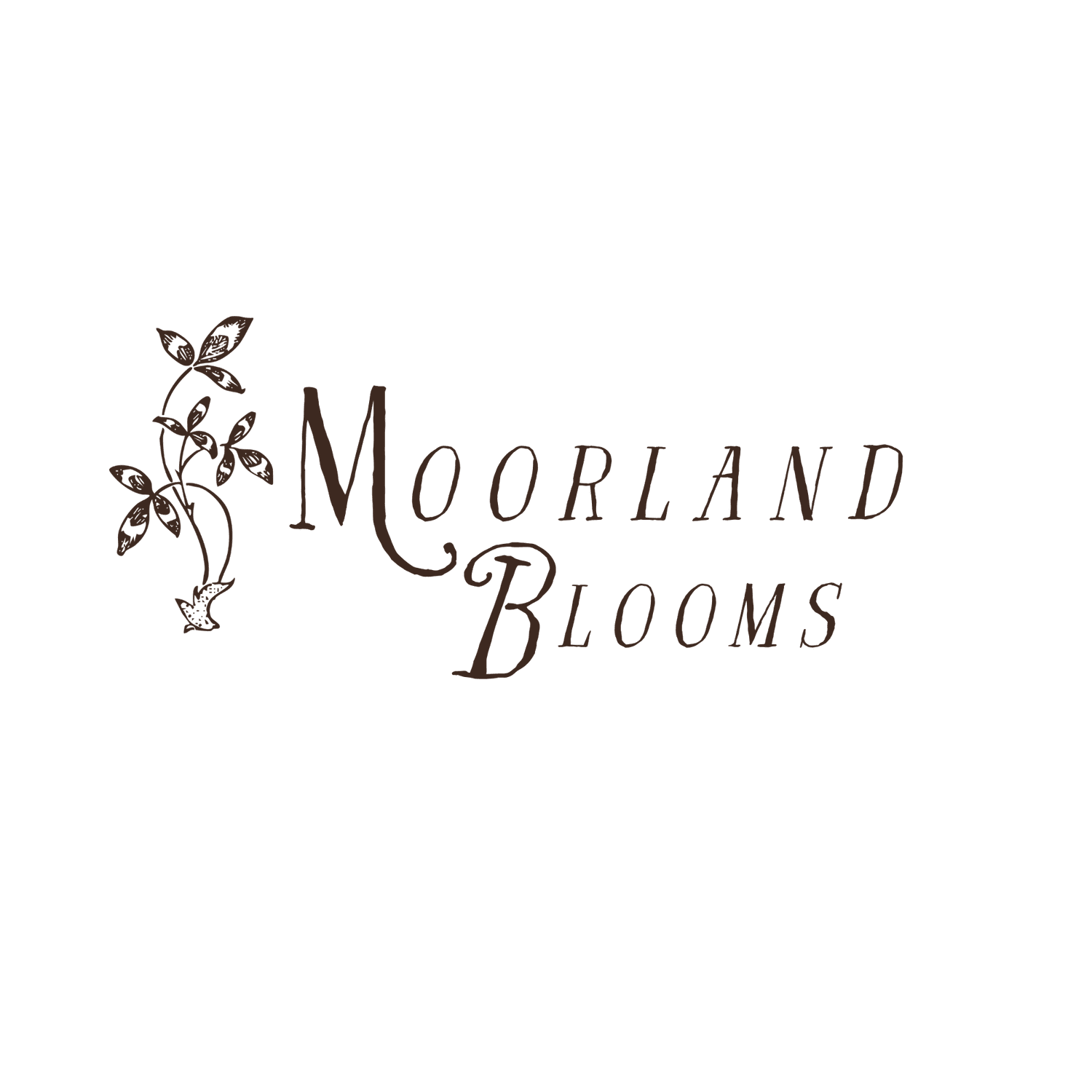 Moorland Blooms