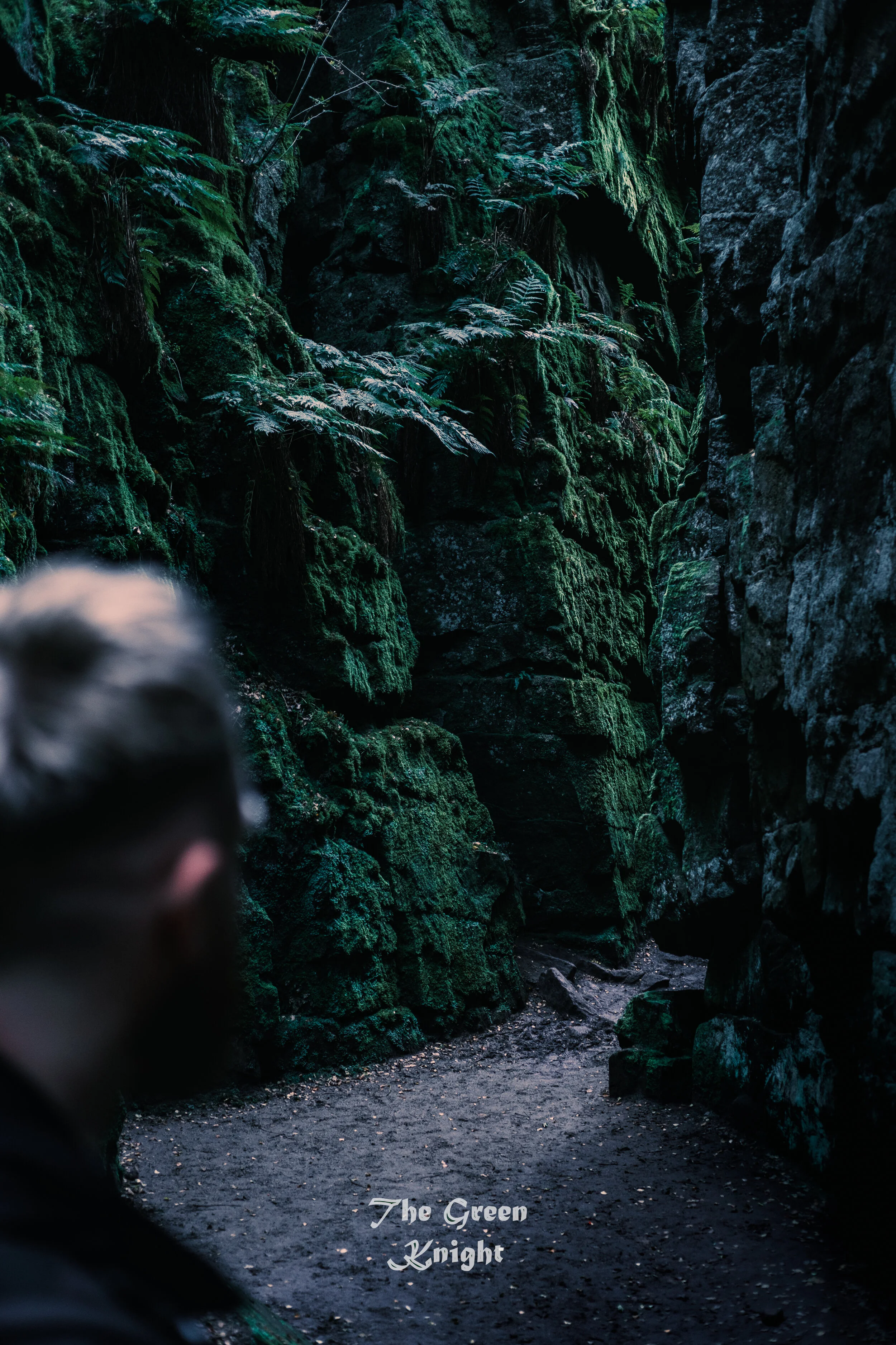 A dark, moss-covered canyon with ferns, and a person with blond hair and a beard standing at the bottom looking into the canyon. Text overlays the bottom of the image saying 'The Green Knight.'