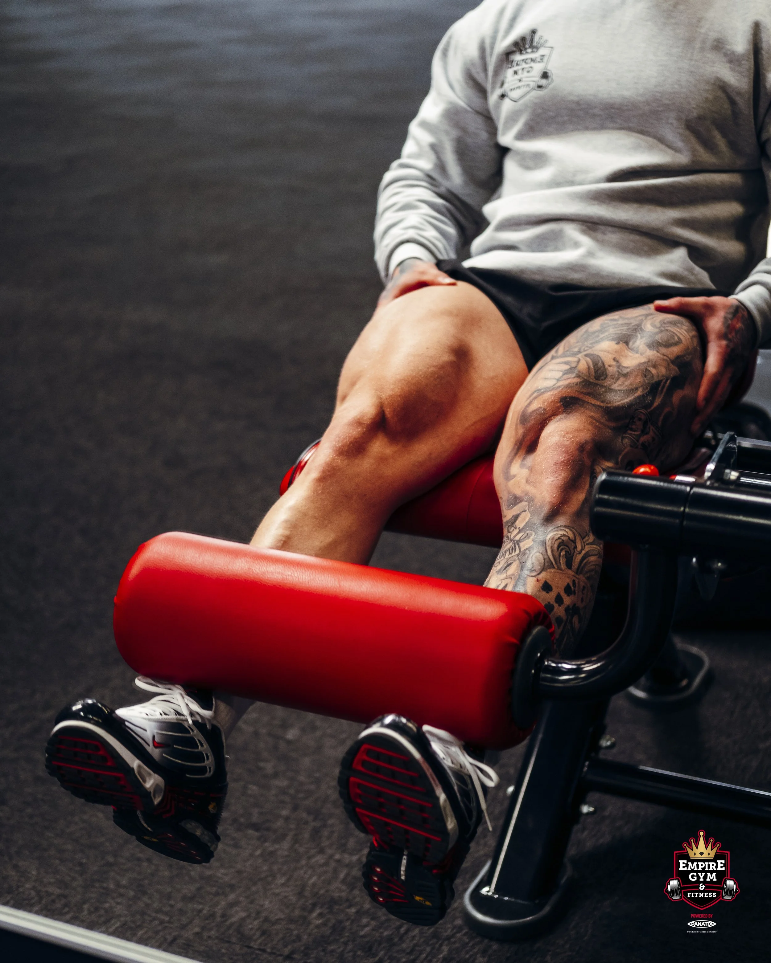 Shane Quad Extension.JPG