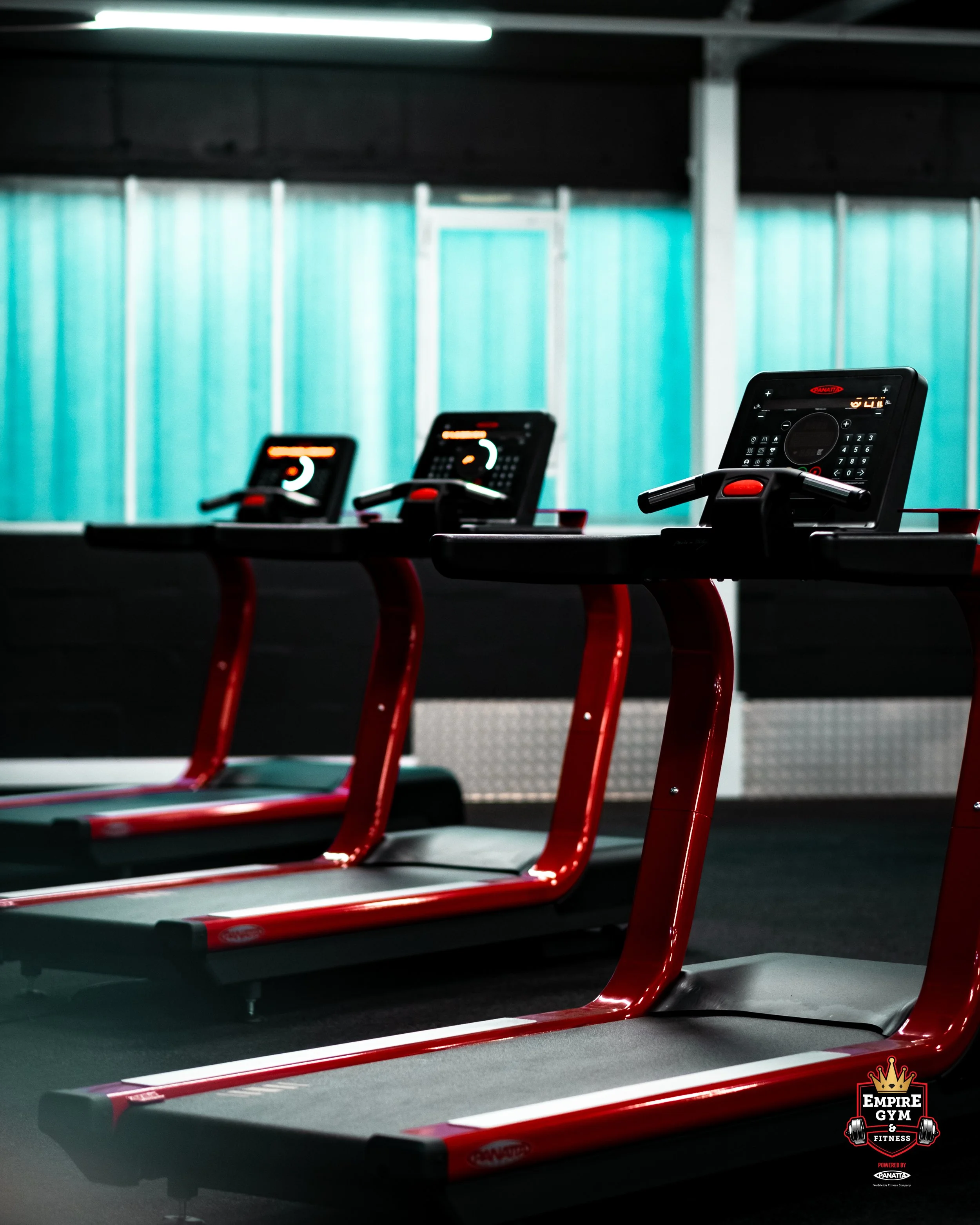 Cardio Treadmills Wider Empire.jpg