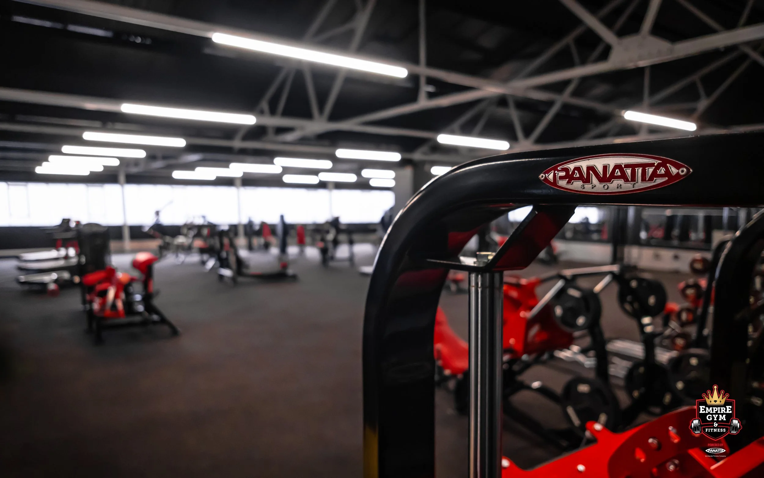 Swipe Empire panatta 4x5 b.jpg